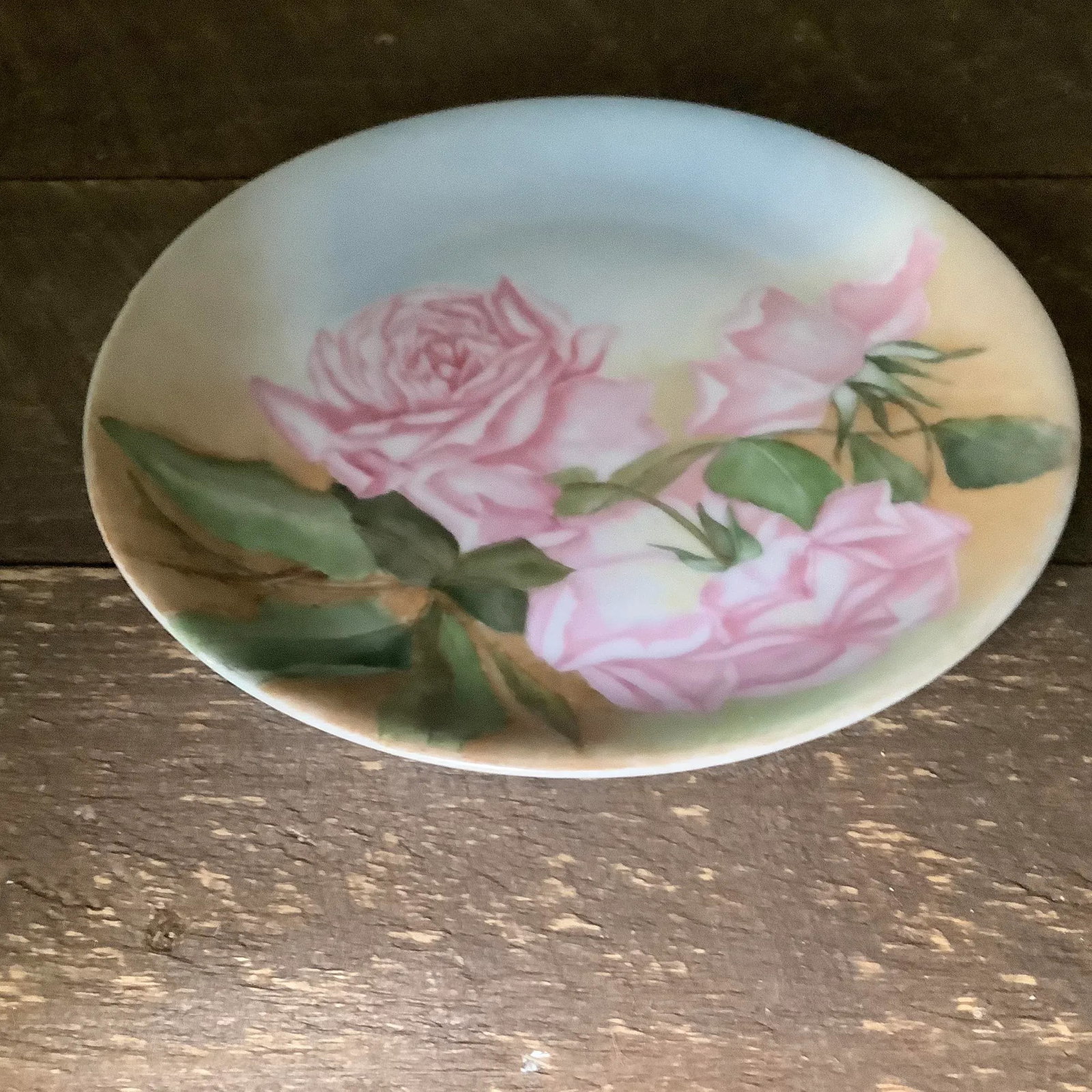 Bavarian Wall Art Hand Painted Plate Features Cabbage Roses - 2