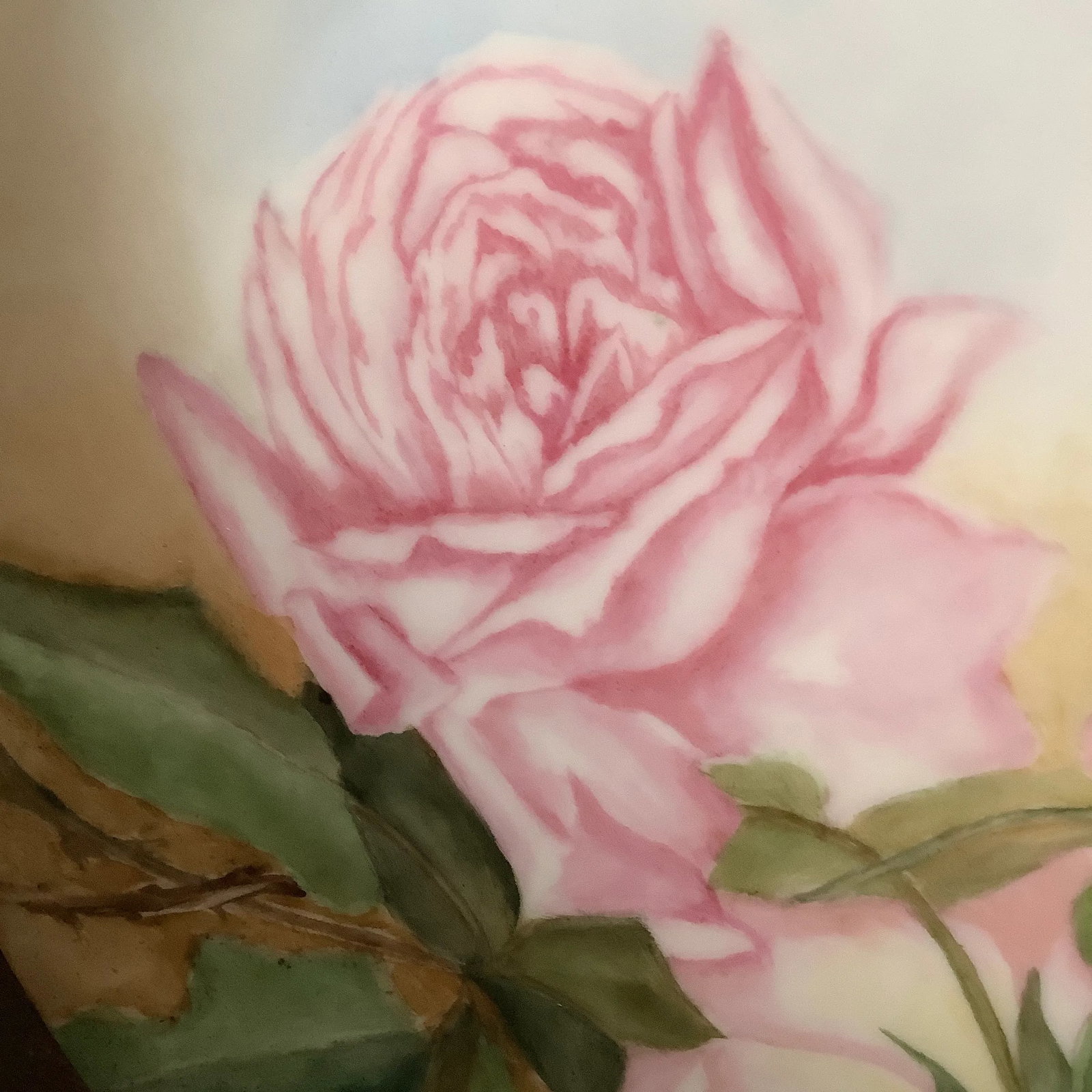 Bavarian Wall Art Hand Painted Plate Features Cabbage Roses - 4