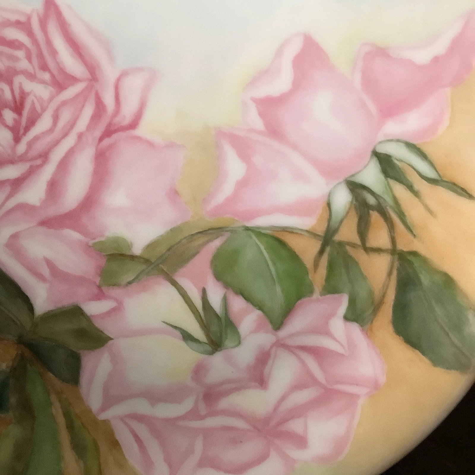 Bavarian Wall Art Hand Painted Plate Features Cabbage Roses - 5