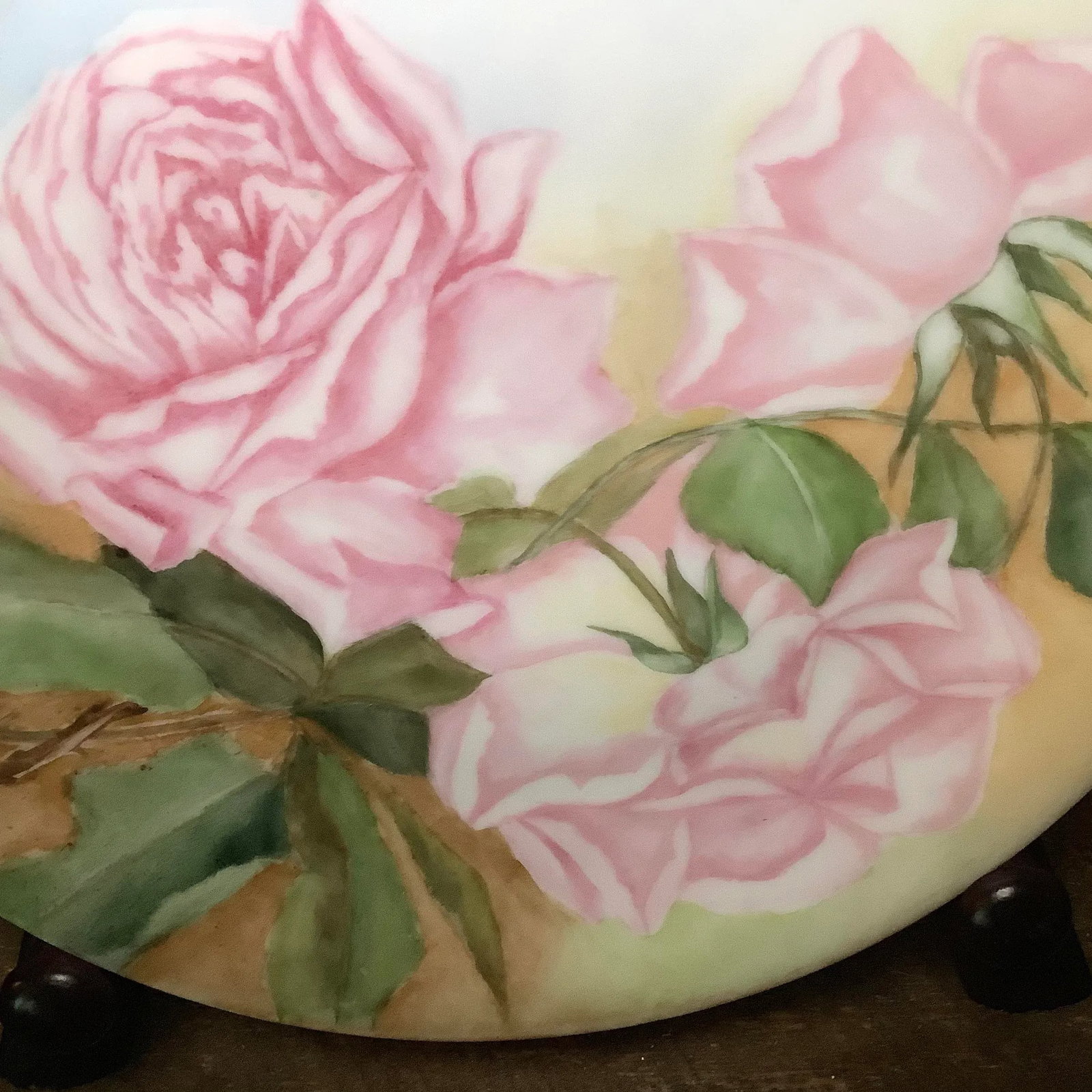 Bavarian Wall Art Hand Painted Plate Features Cabbage Roses - 6