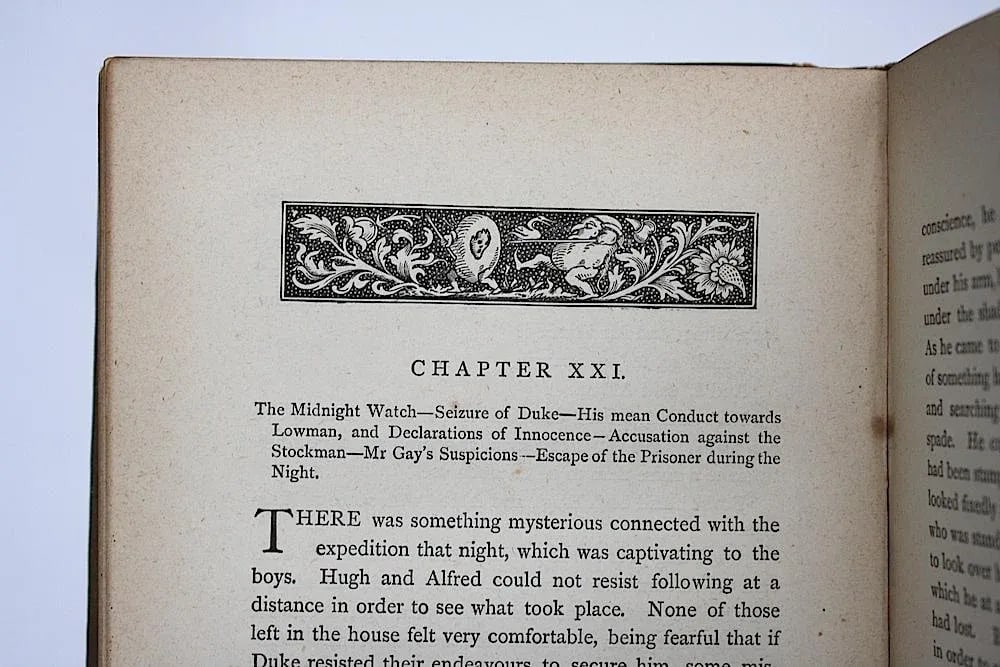 Late 19th Century Antique Book Decor - Australian Adventure Story - 8