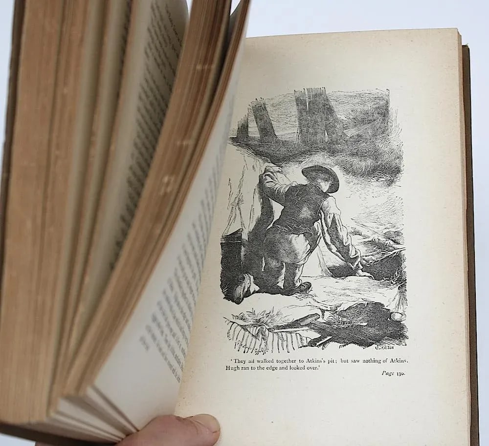 Late 19th Century Antique Book Decor - Australian Adventure Story - 9