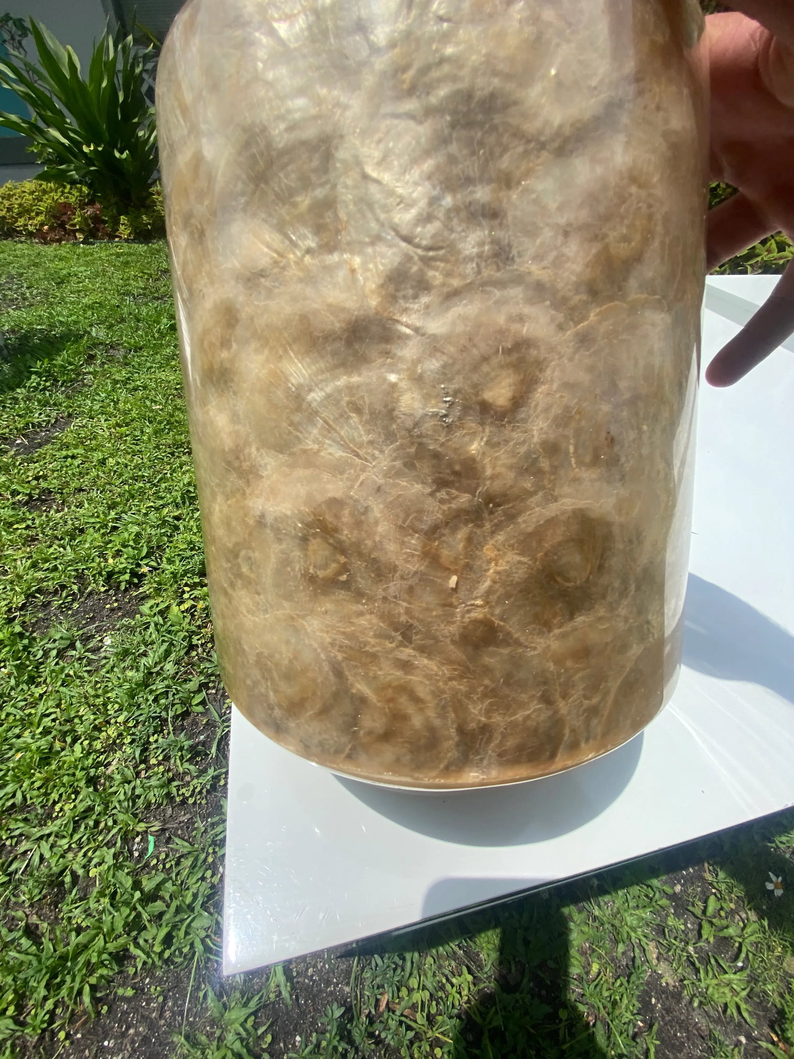 Mid-Century Modern Capis Shell Vase - 3