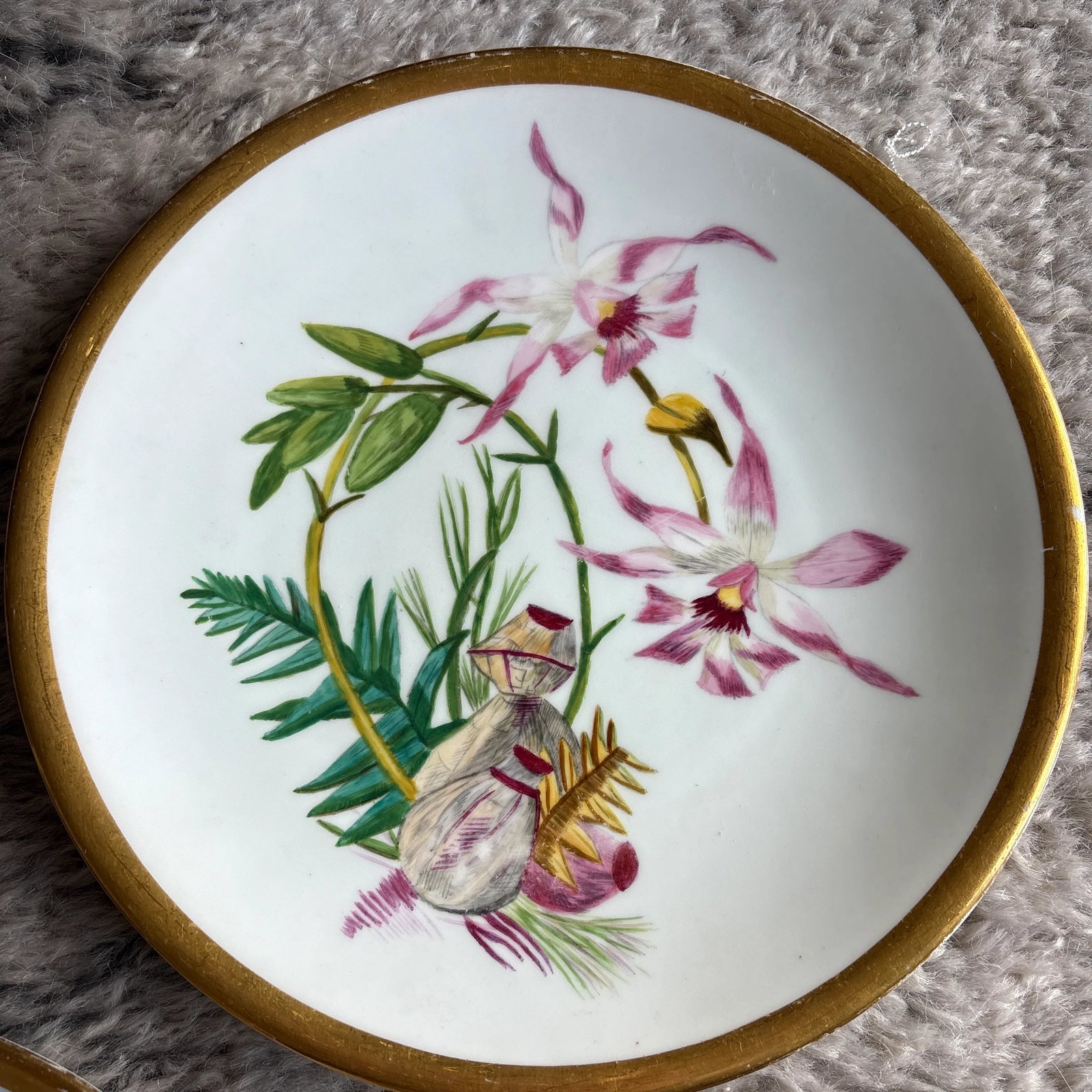 Late 19th Century Set of 5 Orchid Plates by Royal Crown Derby - 2