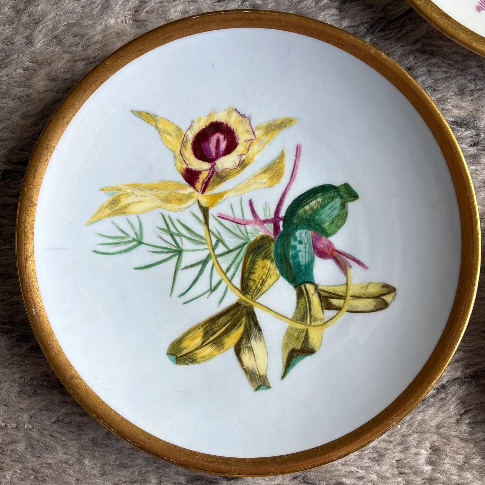 Late 19th Century Set of 5 Orchid Plates by Royal Crown Derby - 3