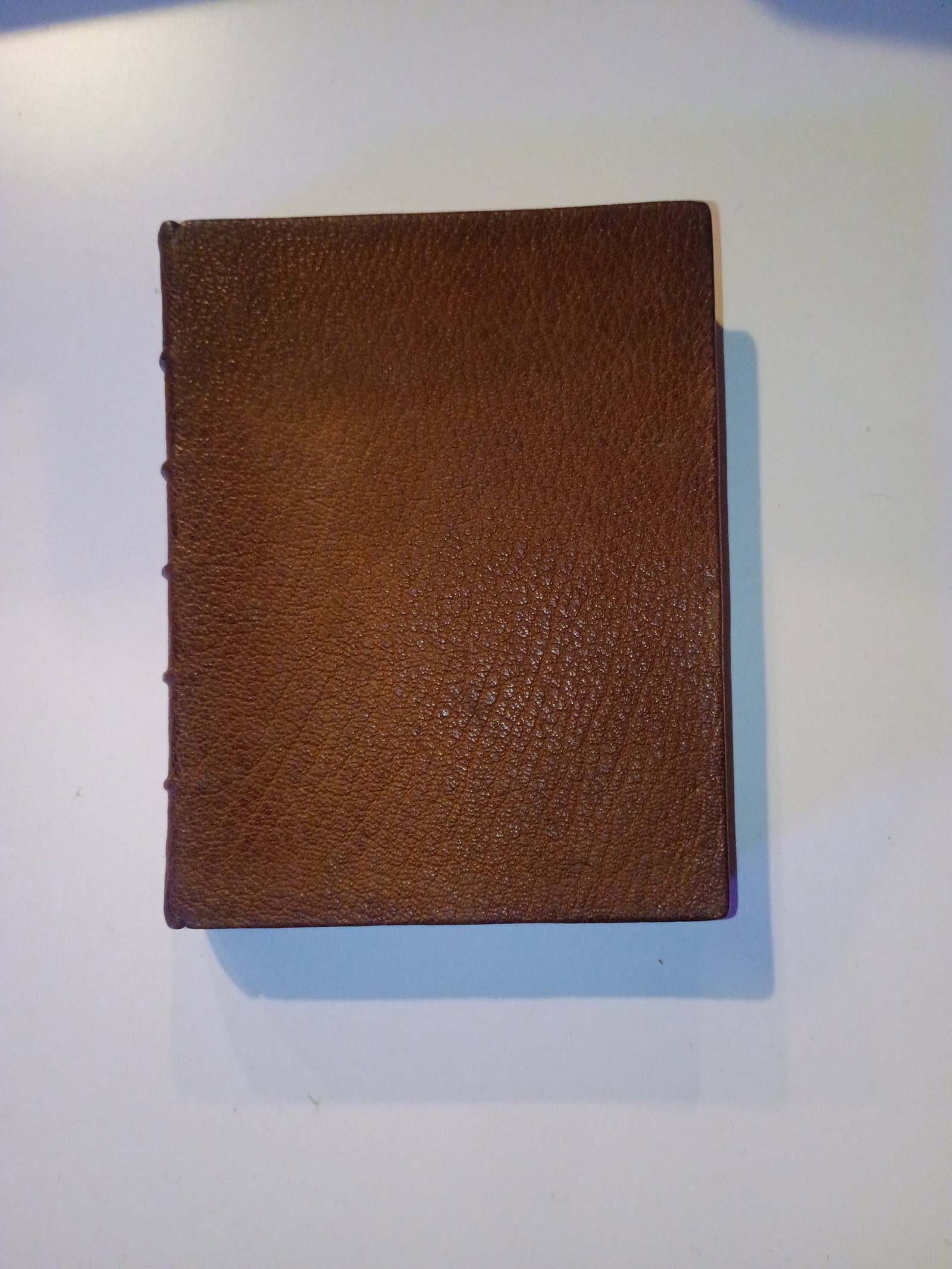 Signed Shakespeare's Sonnets One of a Kind Full Leather Artisan Hand-Bound, 1899, Art Nouveau Illust - 14