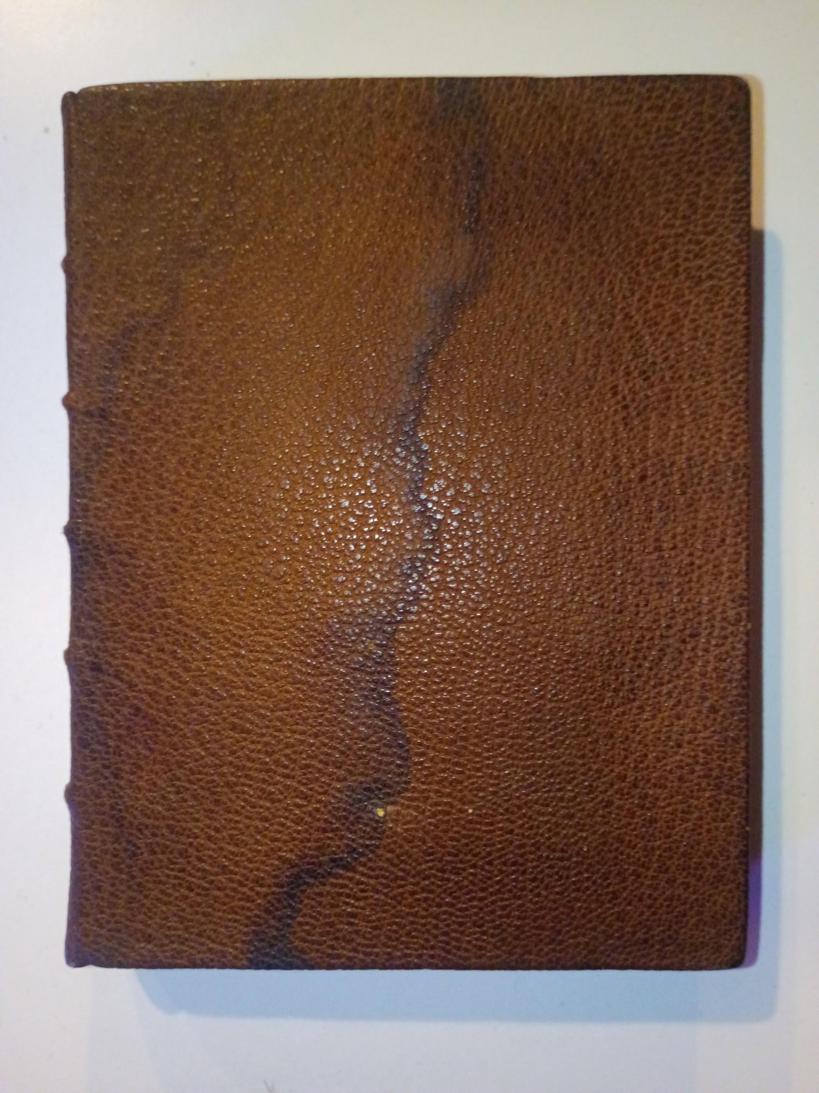 Signed Shakespeare's Sonnets One of a Kind Full Leather Artisan Hand-Bound, 1899, Art Nouveau Illust - 2