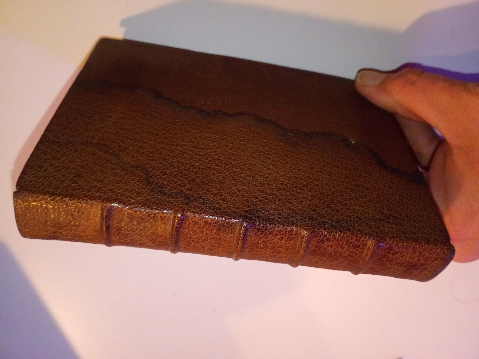 Signed Shakespeare's Sonnets One of a Kind Full Leather Artisan Hand-Bound, 1899, Art Nouveau Illust - 3