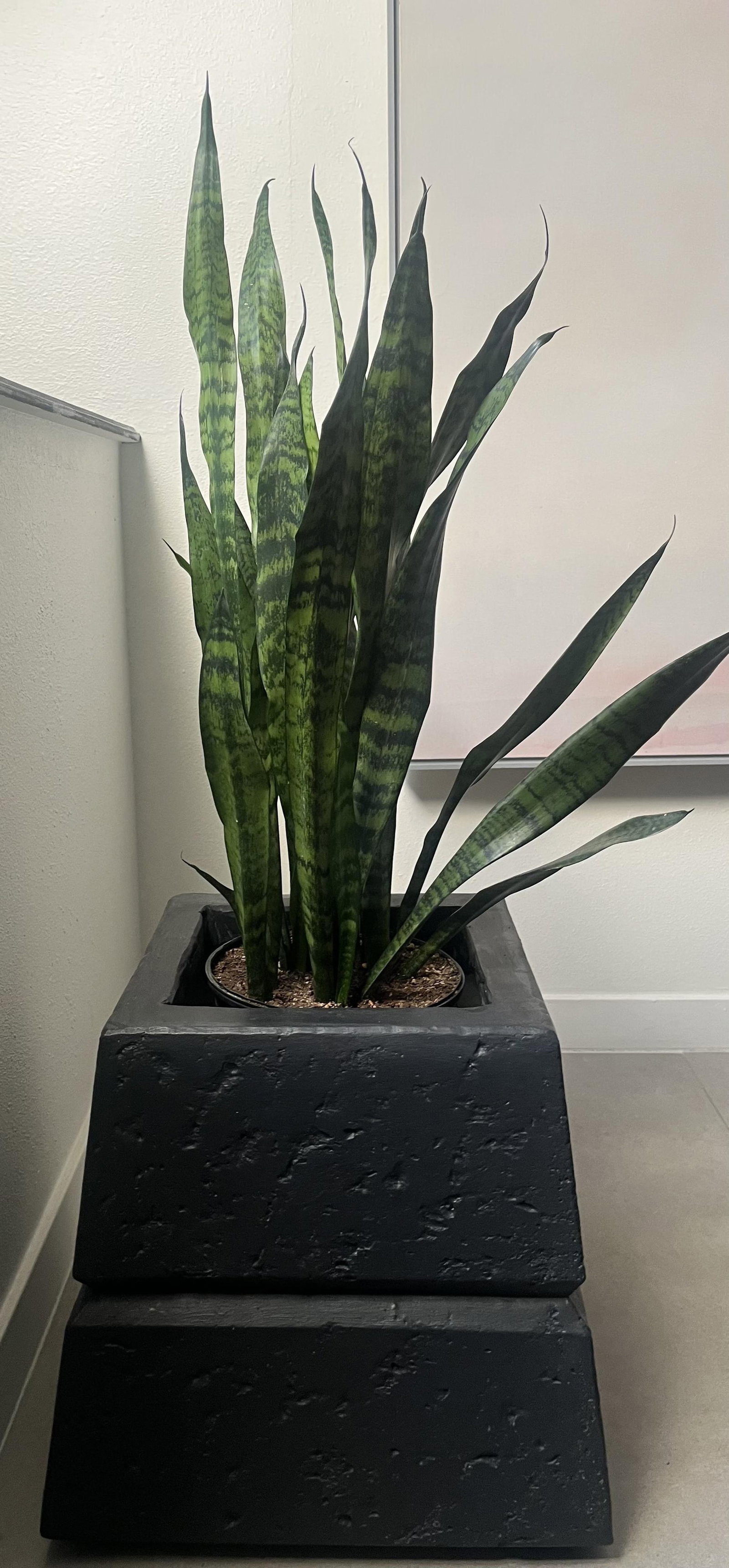 1980s Large Post Modern Planter - 5