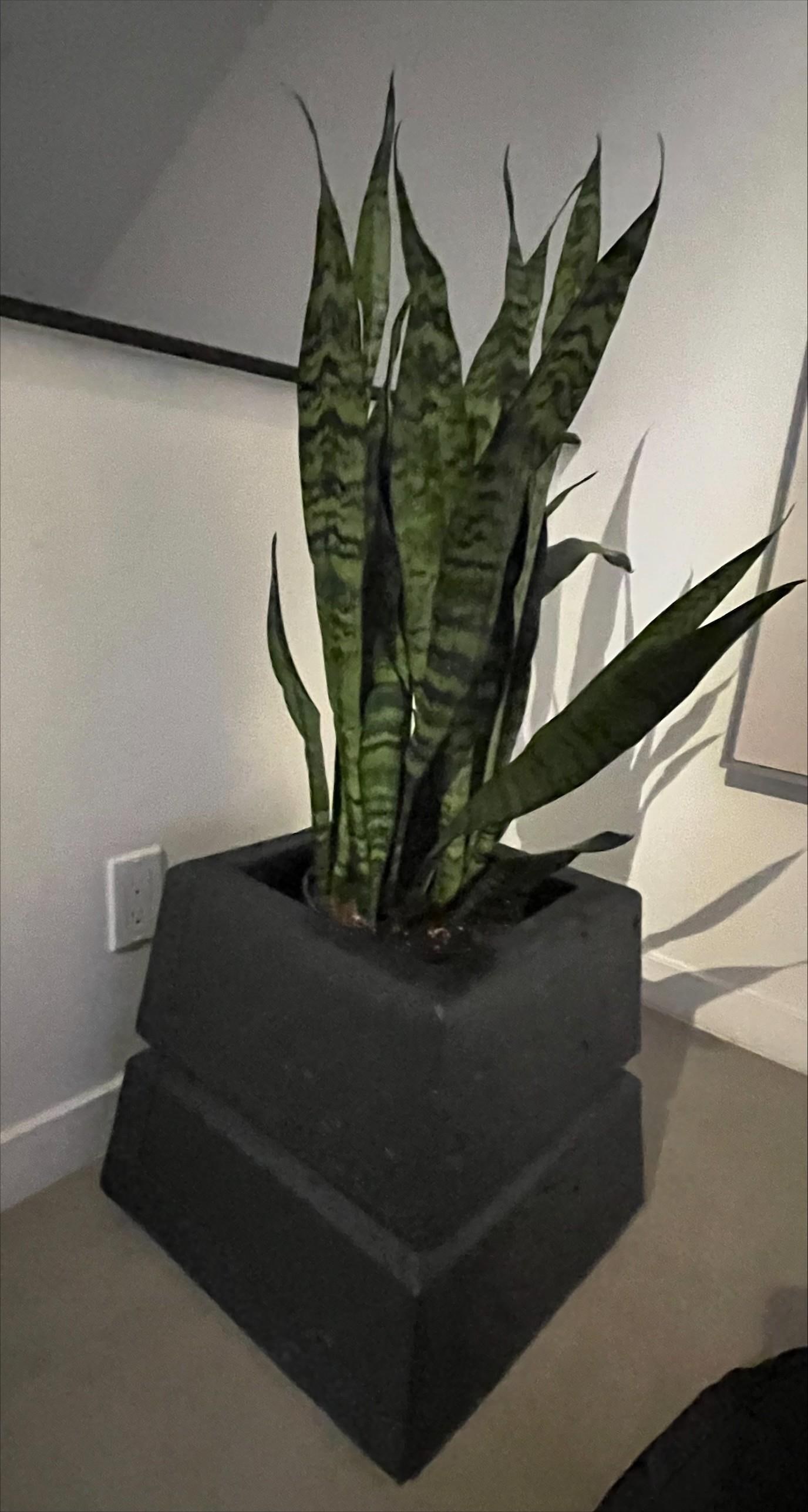 1980s Large Post Modern Planter - 6