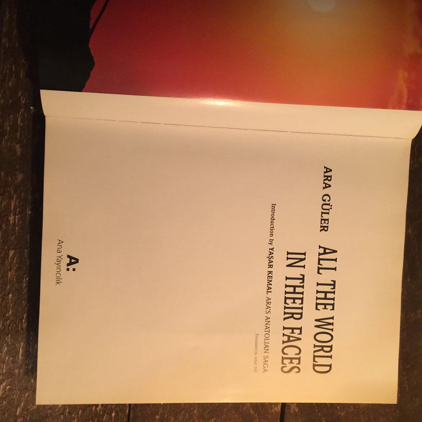 1990s 'All the World in Their Faces' by Ara Guler Photography Book - 5