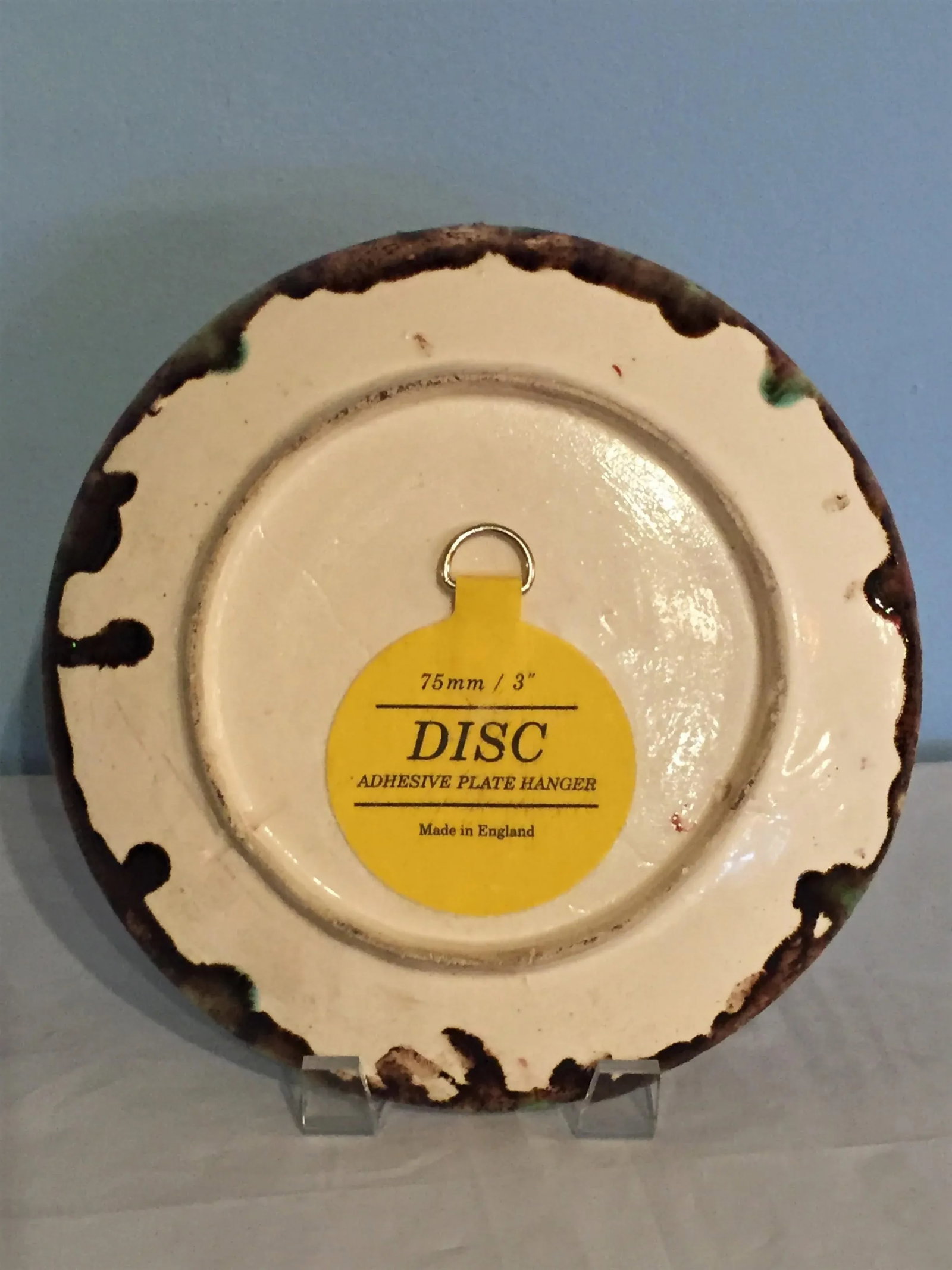English Majolica Palissy Plate - 3
