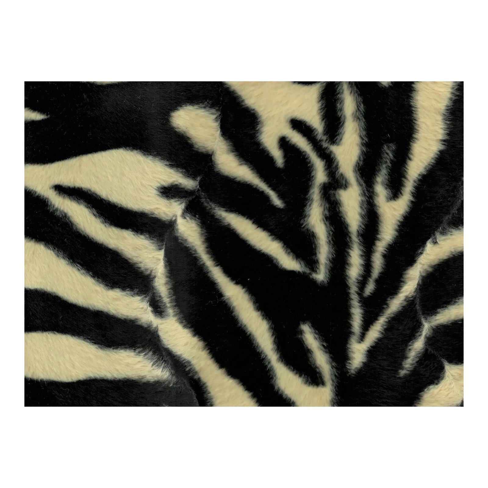 Ast Fabrics Zebra Print Faux Fur Fabric 29 Yard Lot: Love Exotics? Look at this beautiful Faux Fur Zebra printed fabric! This fun fabric comes in a 29 yard piece, one roll, and is perfect for bedroom, living room, really anywhere! Repeat is 13.5" V x
