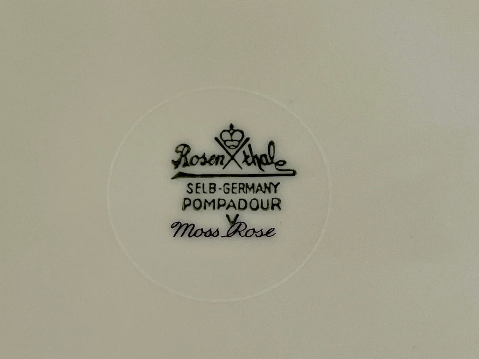 Late 20th Century Vintage Rosenthal Germany Pompadour Moss Rose 74-Piece Dinnerware Set - Service fo - 12