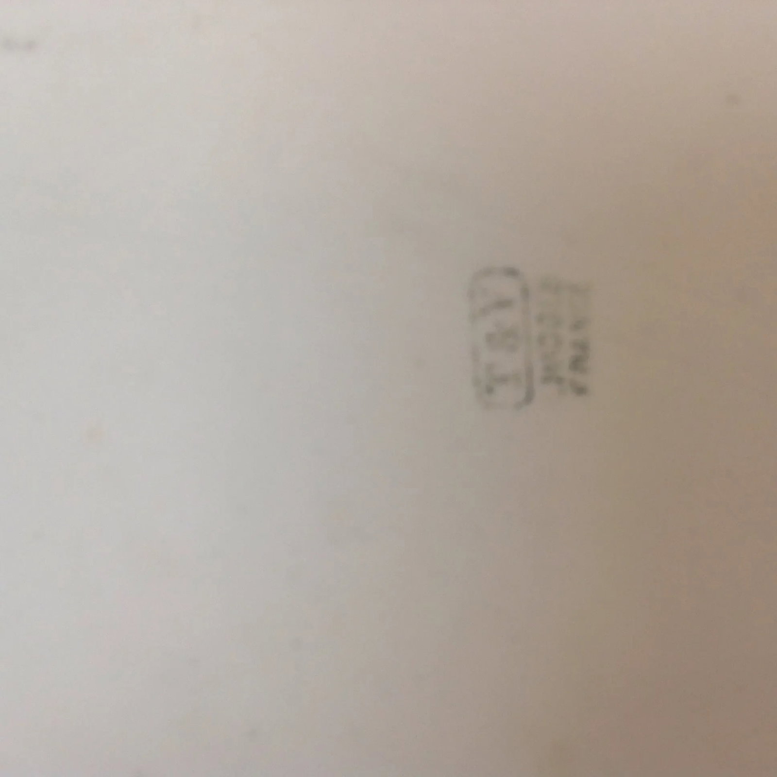 T&v Limoges France 16" Tray - 4