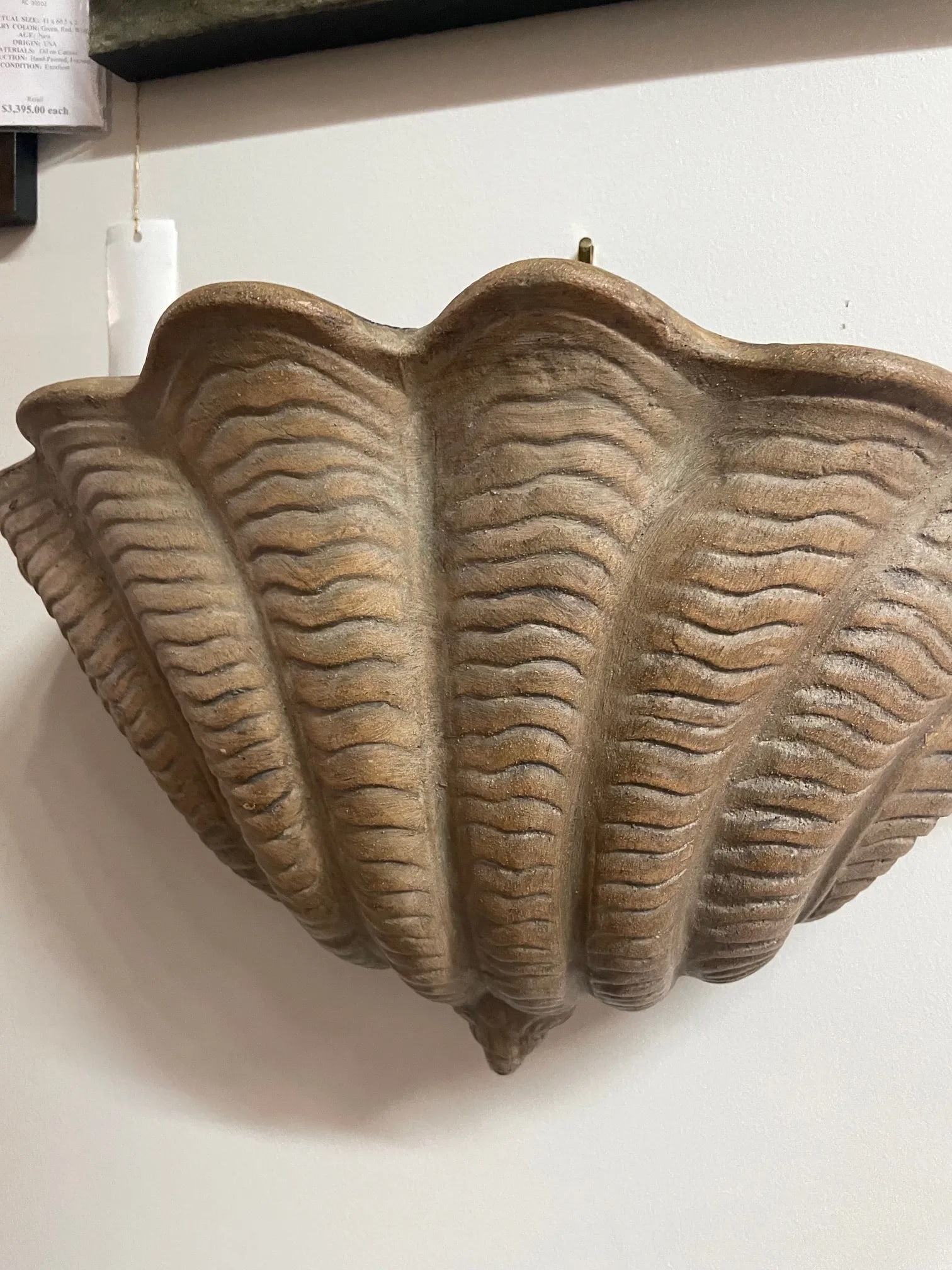 1990s Italian Terracotta Shell Wall Planter - 5