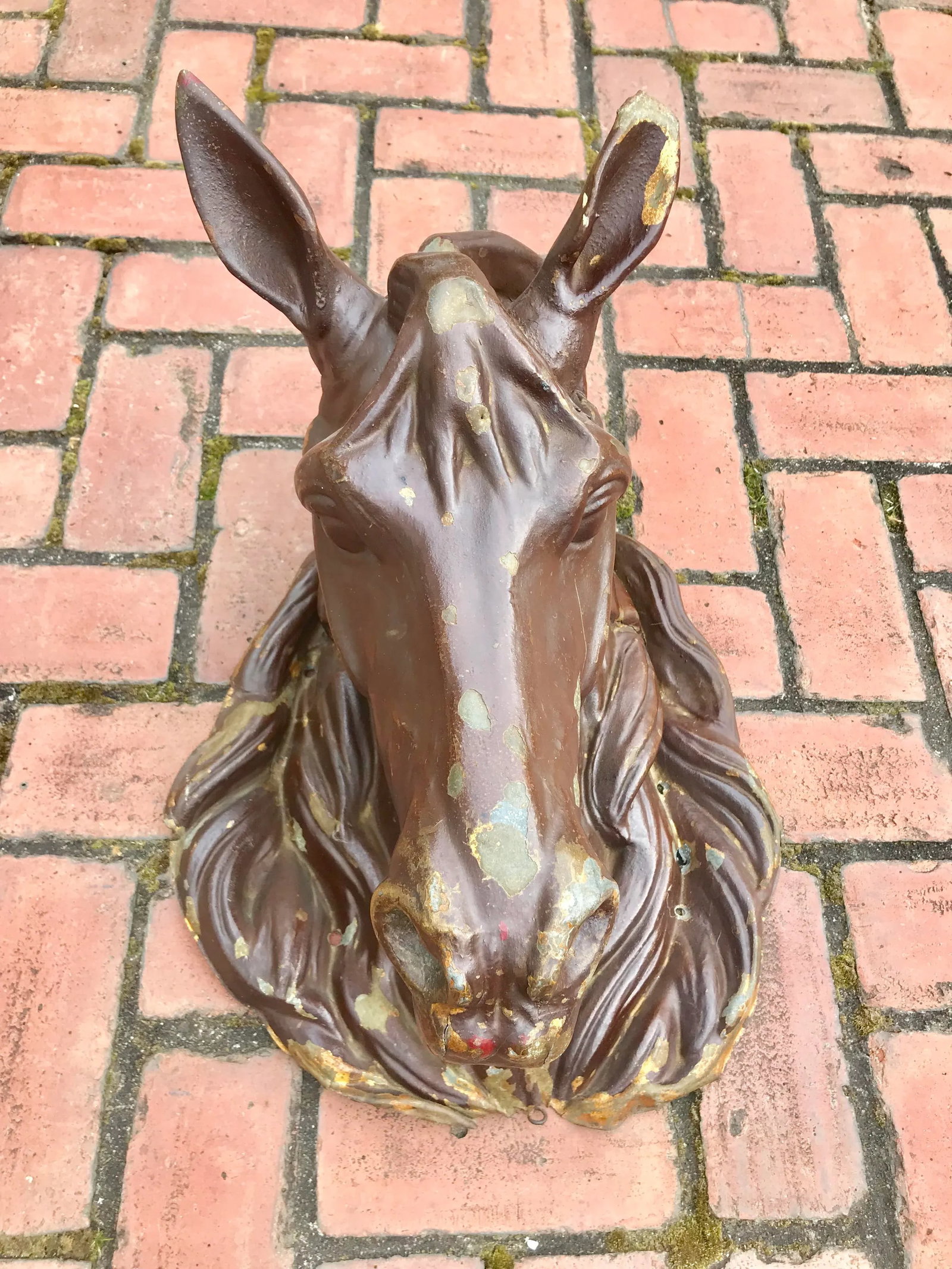 Antique French Butchers Horse Head - 11