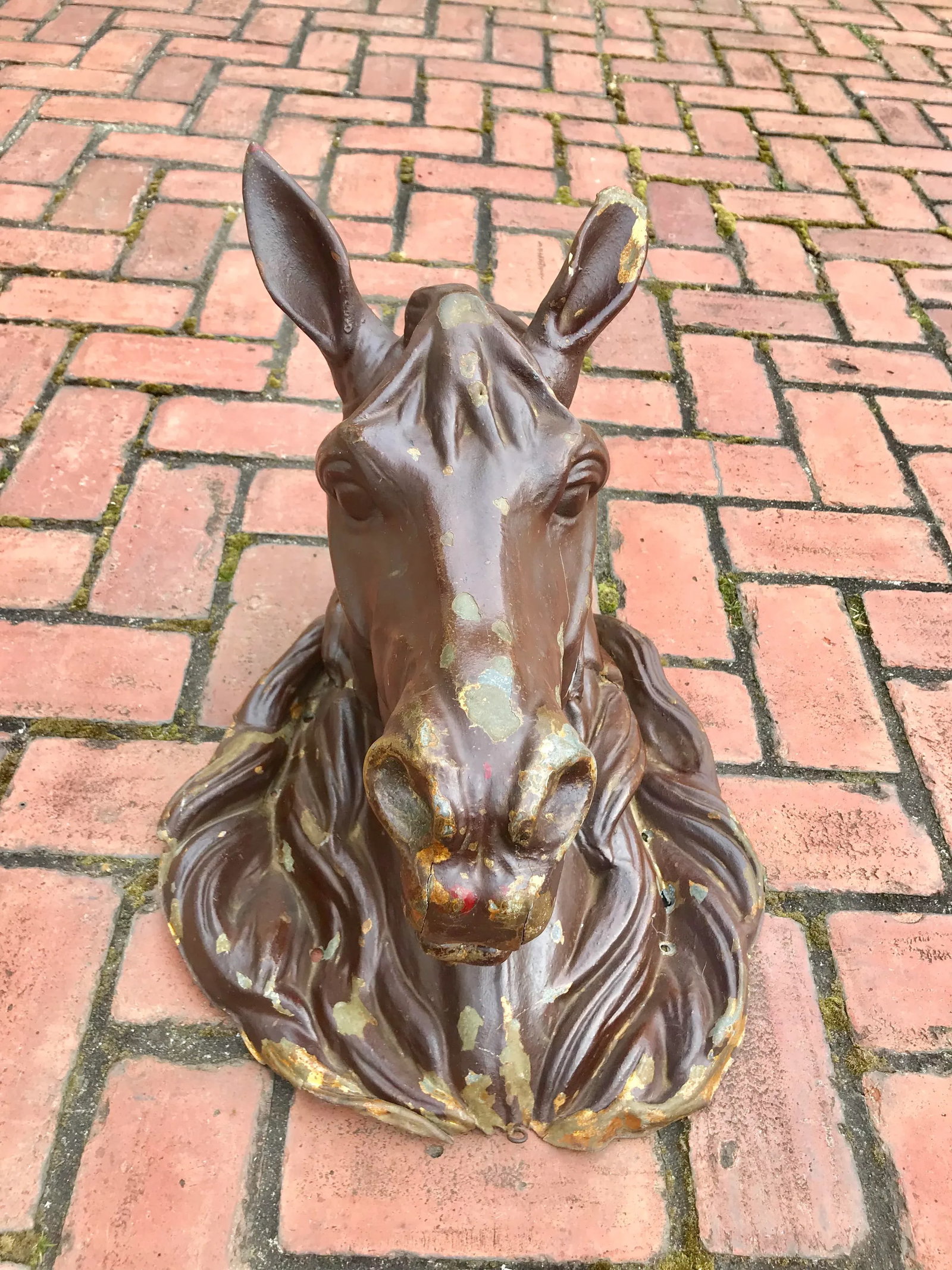 Antique French Butchers Horse Head - 12
