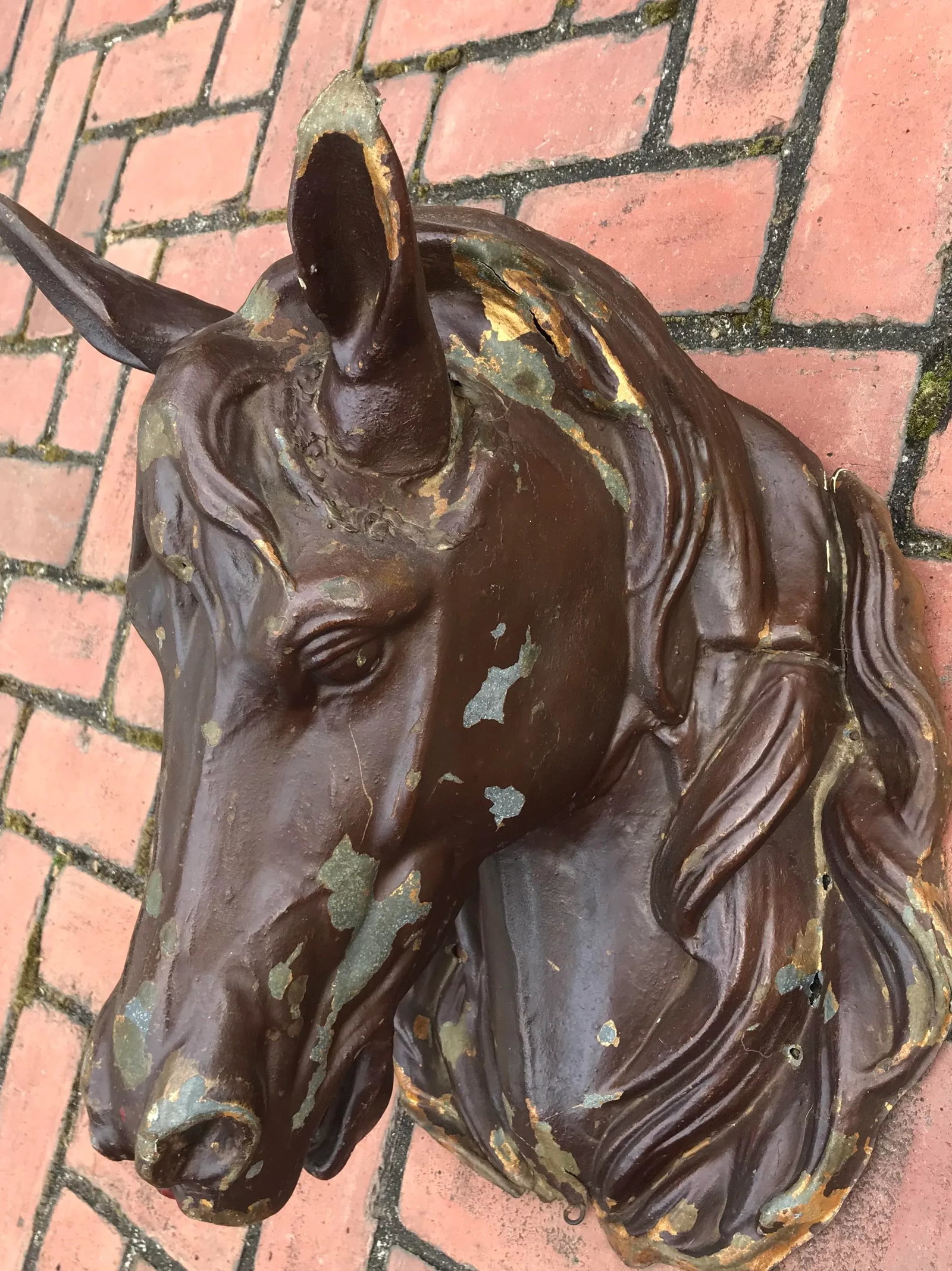Antique French Butchers Horse Head - 2