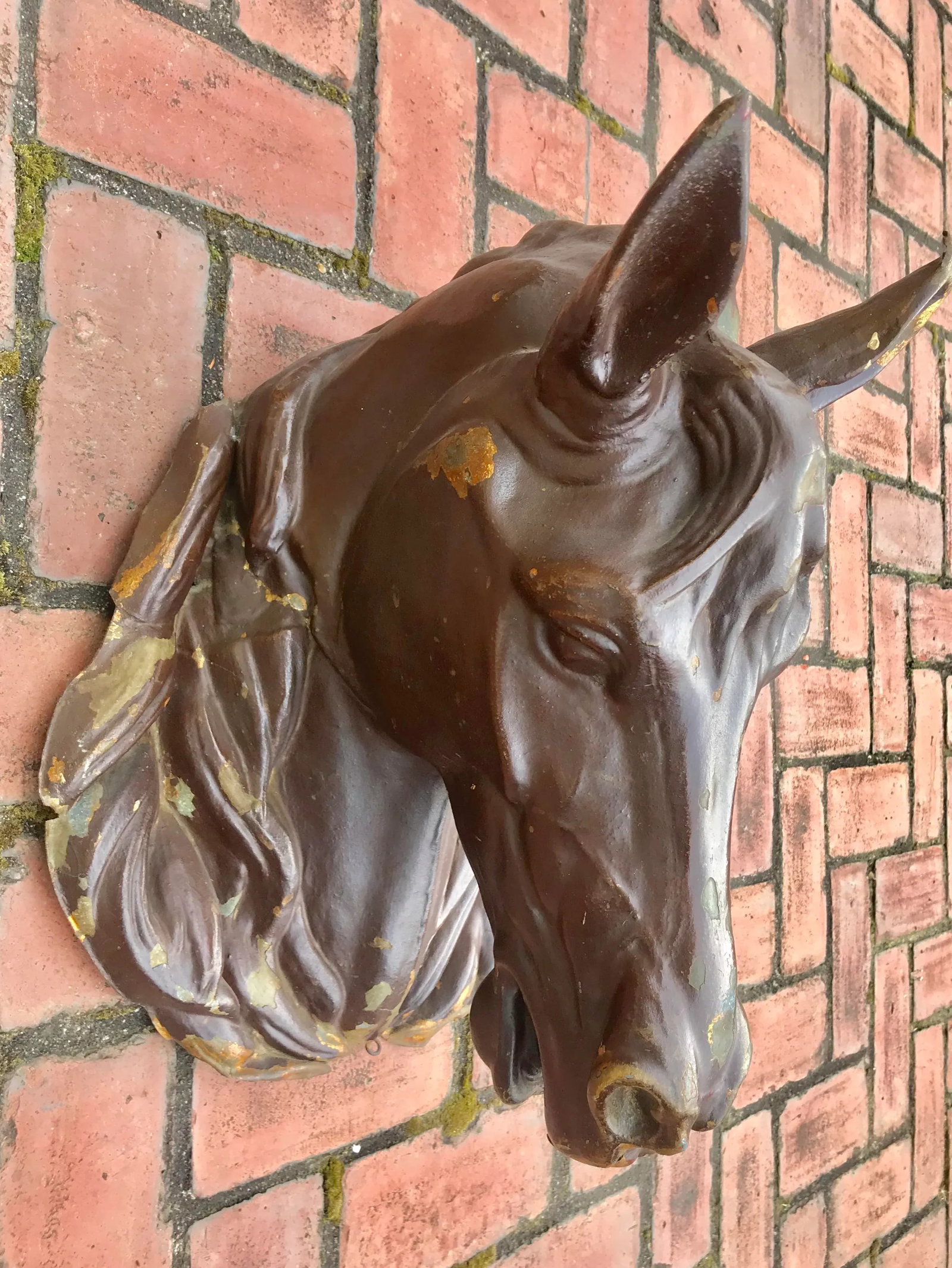 Antique French Butchers Horse Head - 3