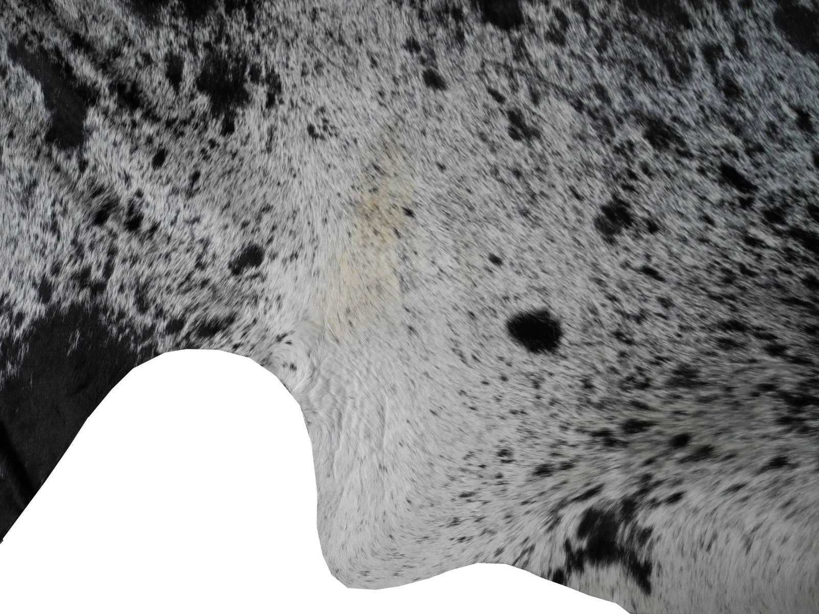 Salt and Pepper Leather Cowhide With Black and White Spots From Brazil - 2