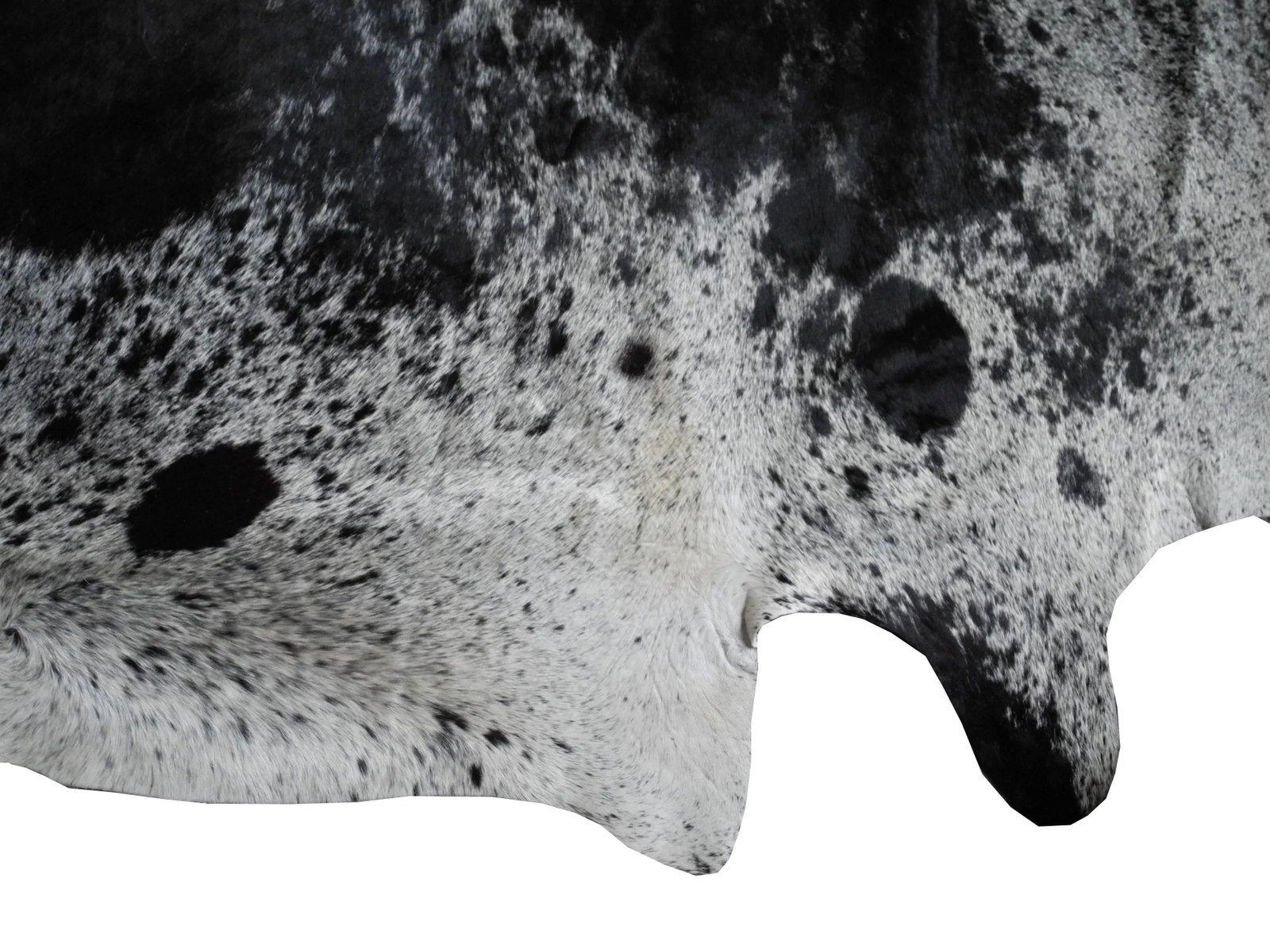 Salt and Pepper Leather Cowhide With Black and White Spots From Brazil - 3