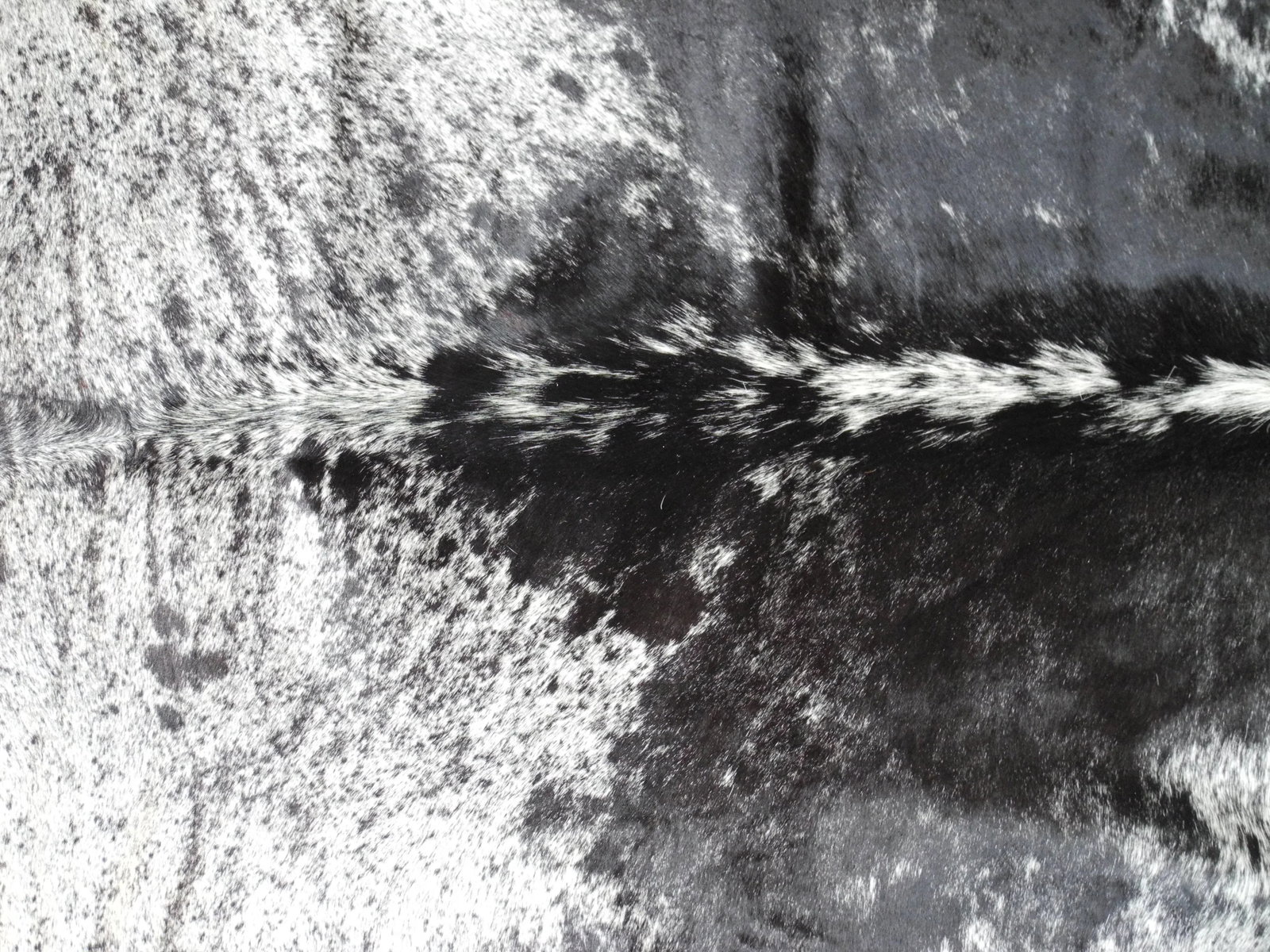Salt and Pepper Leather Cowhide With Black and White Spots From Brazil - 5