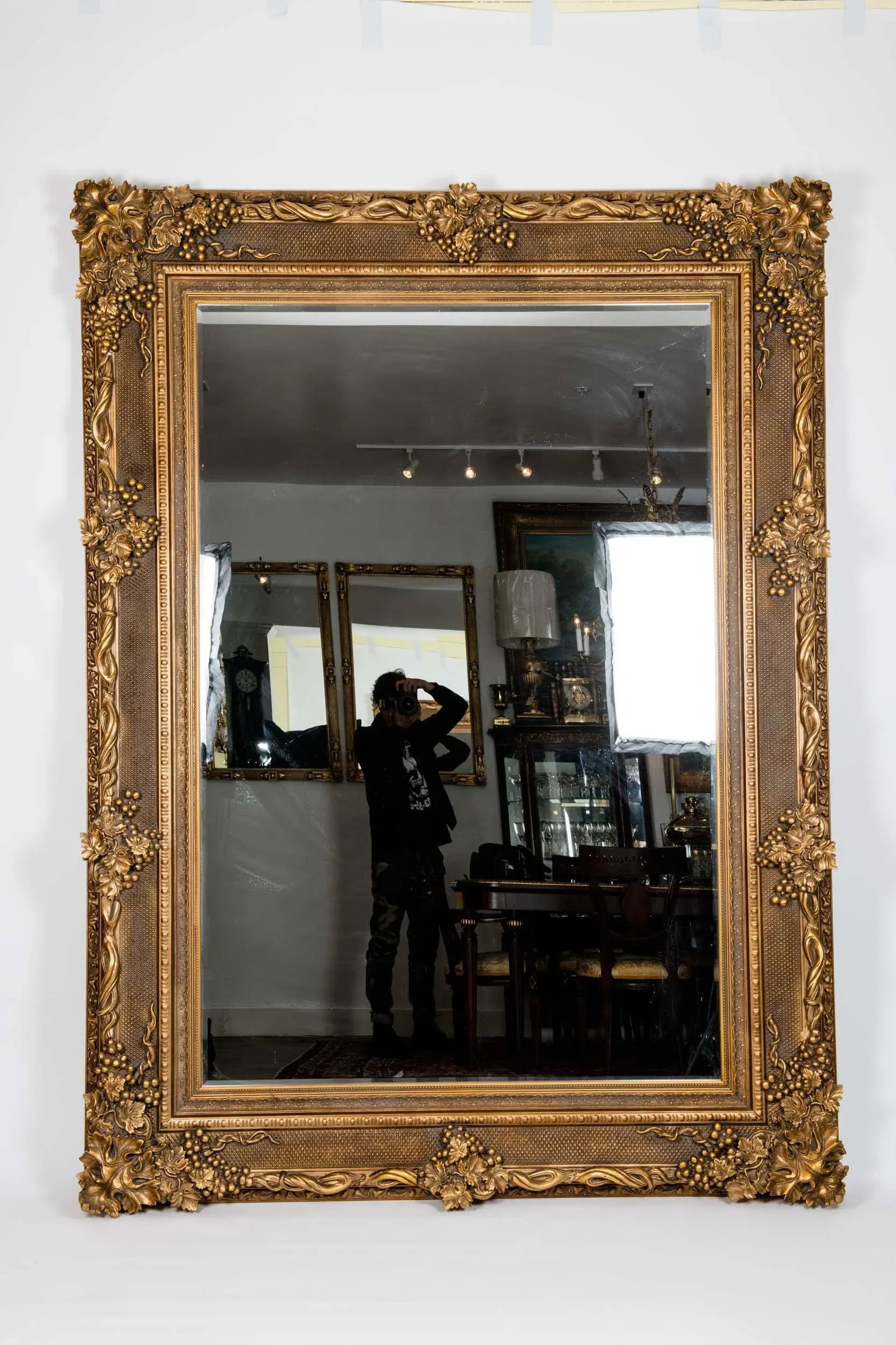 Giltwood Beveled Hanging Floor Length Wall Mirror - 13