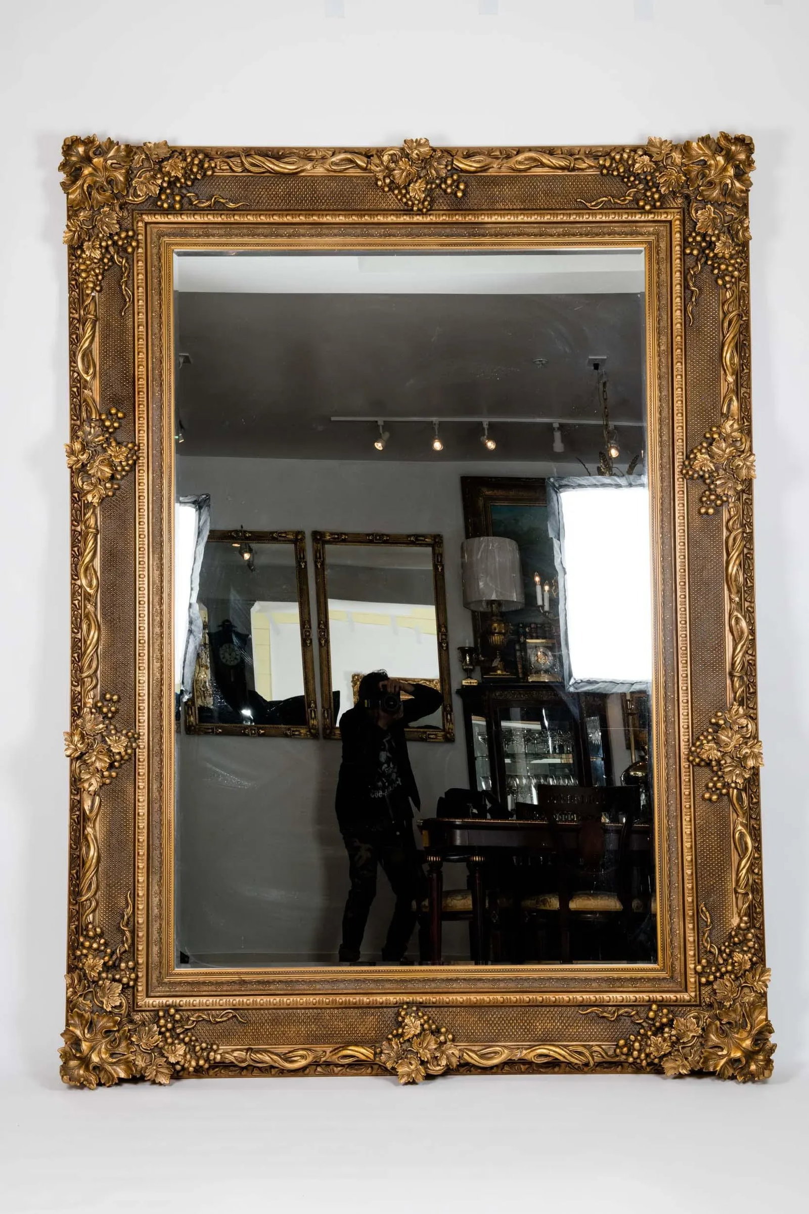 Giltwood Beveled Hanging Floor Length Wall Mirror - 3