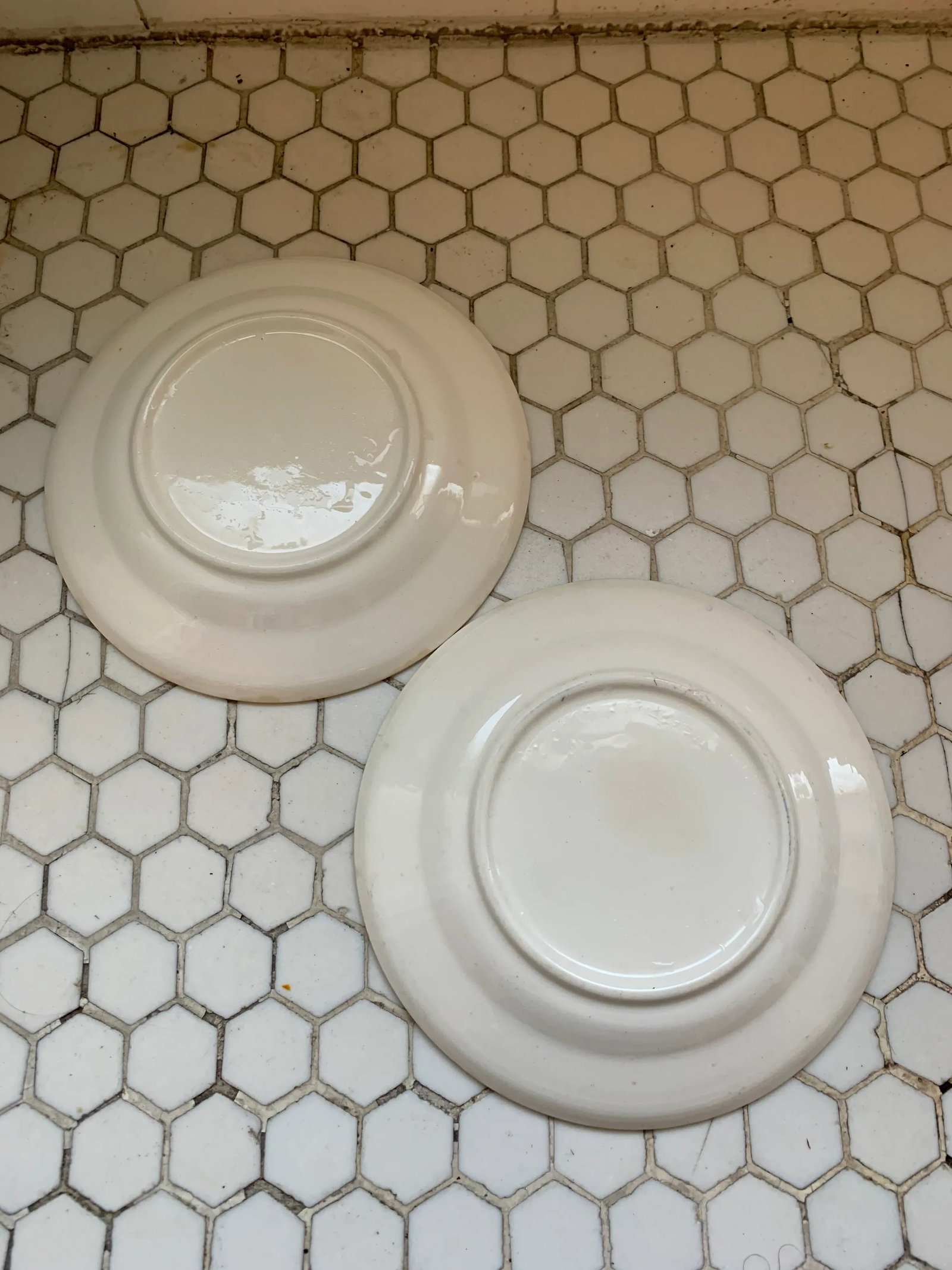 Porcelain Blue & White Blue Willow Plates, Pair - 10
