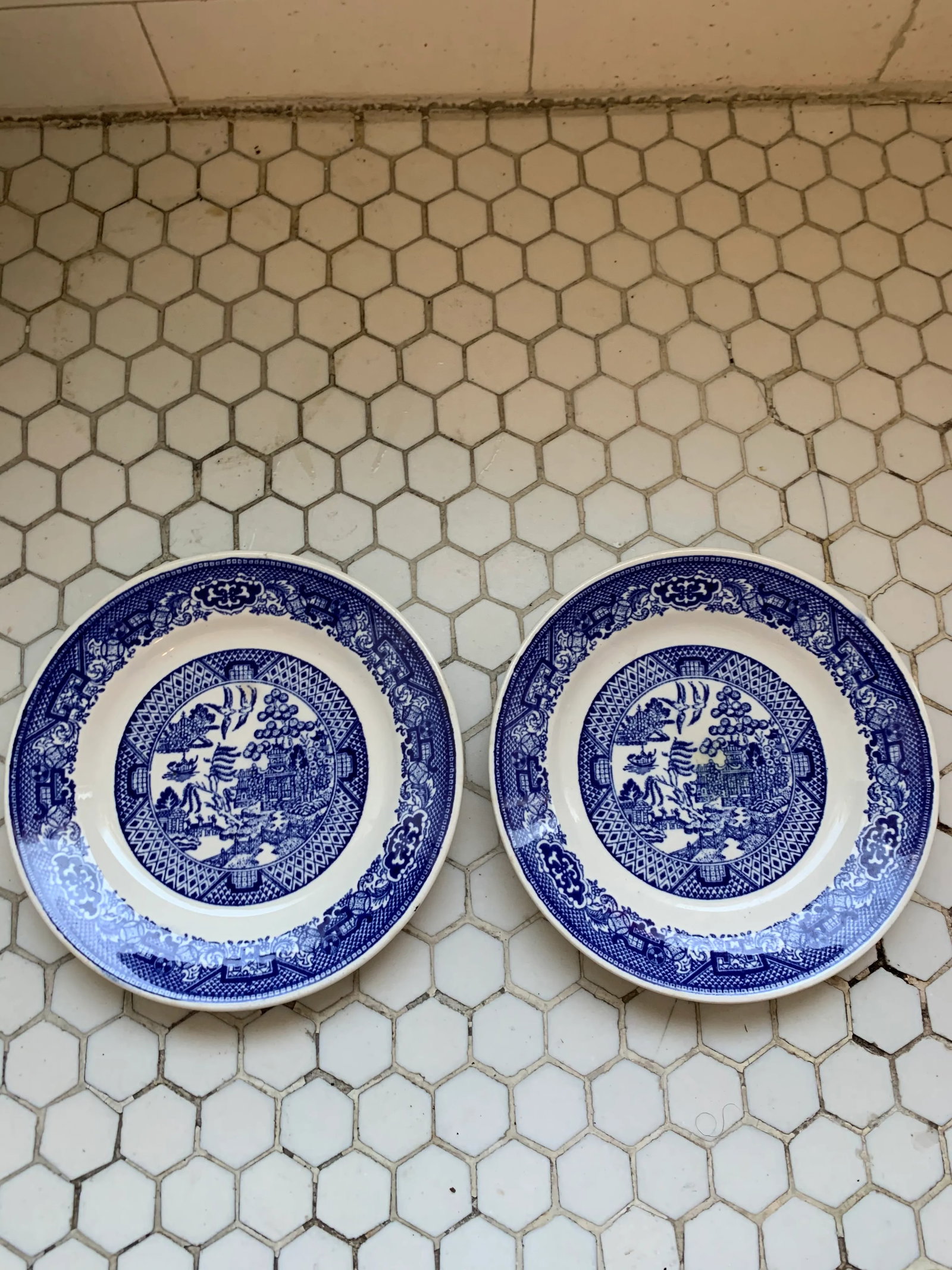 Porcelain Blue & White Blue Willow Plates, Pair - 9
