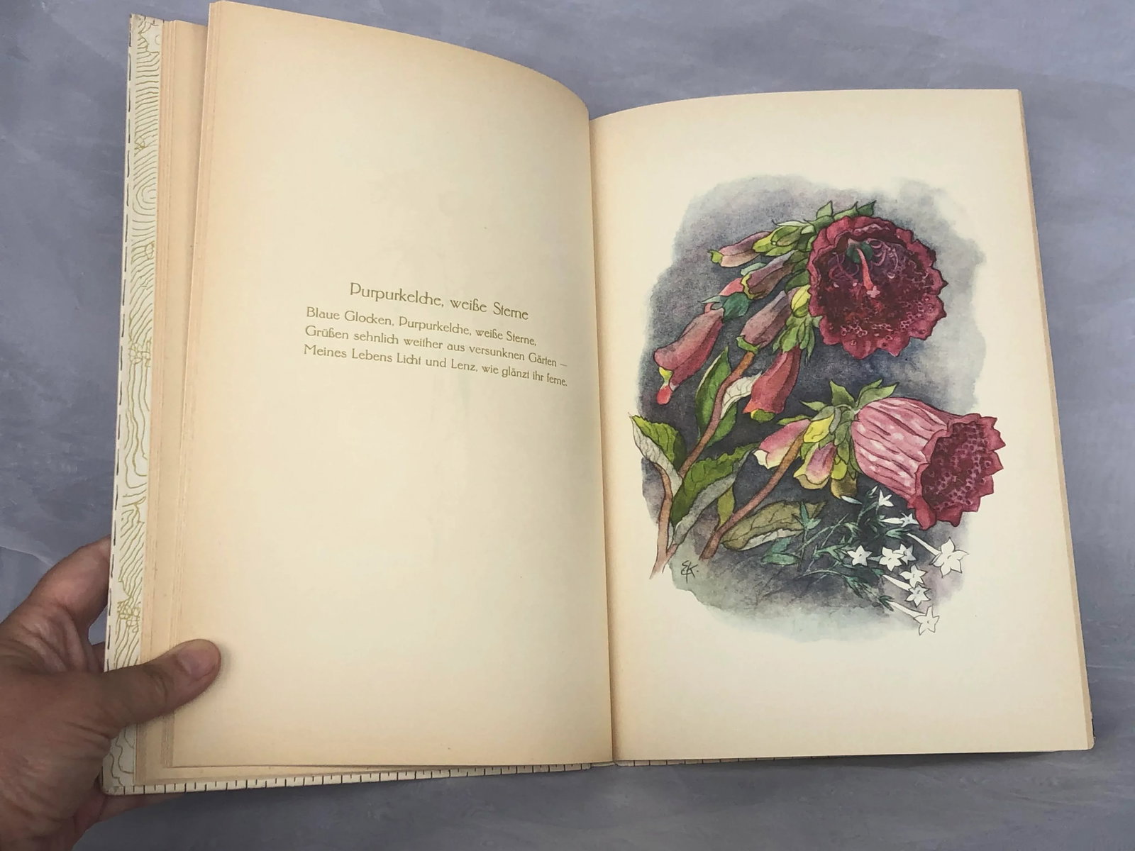 Vintage Children's Book With Flower Fairy Art - 10