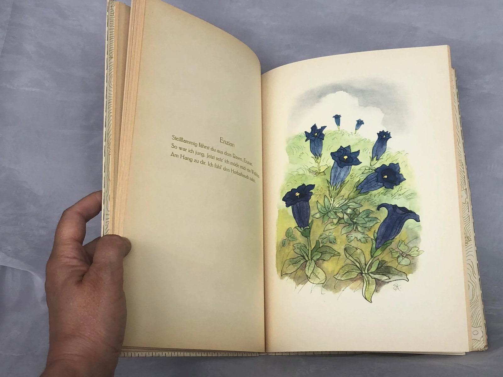 Vintage Children's Book With Flower Fairy Art - 11