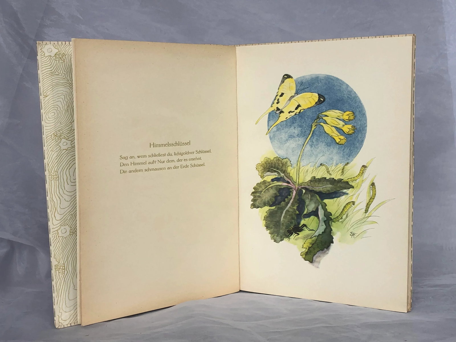 Vintage Children's Book With Flower Fairy Art - 4