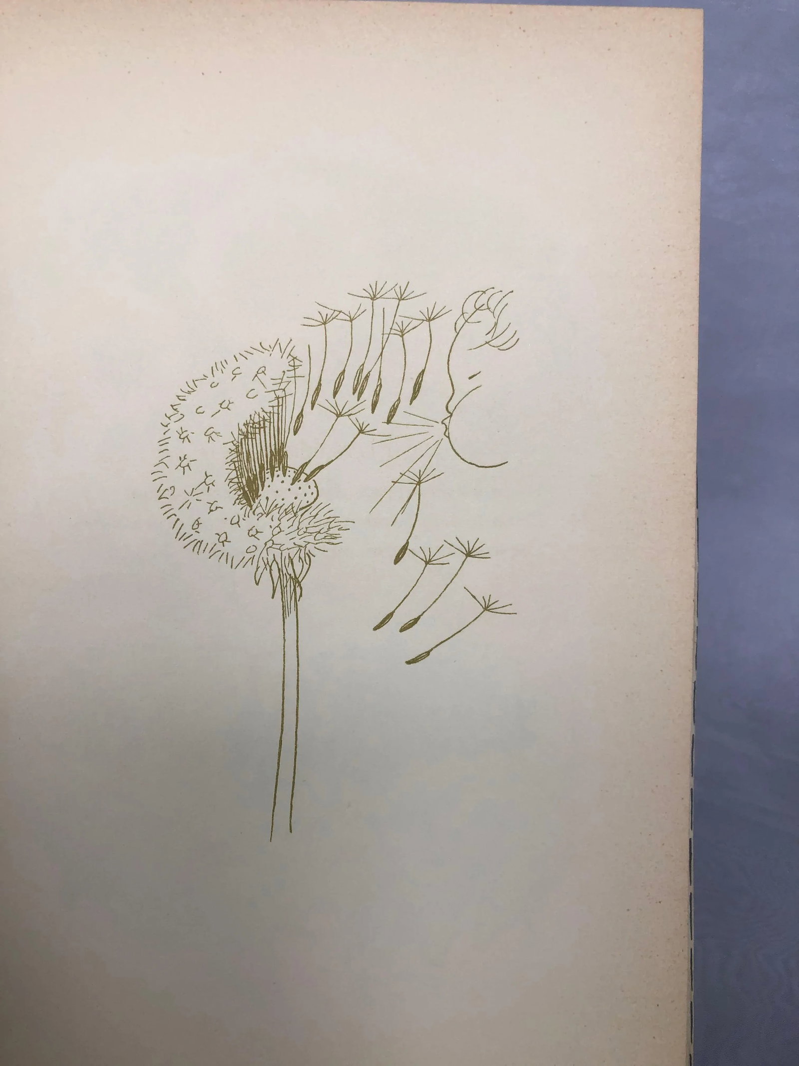 Vintage Children's Book With Flower Fairy Art - 5