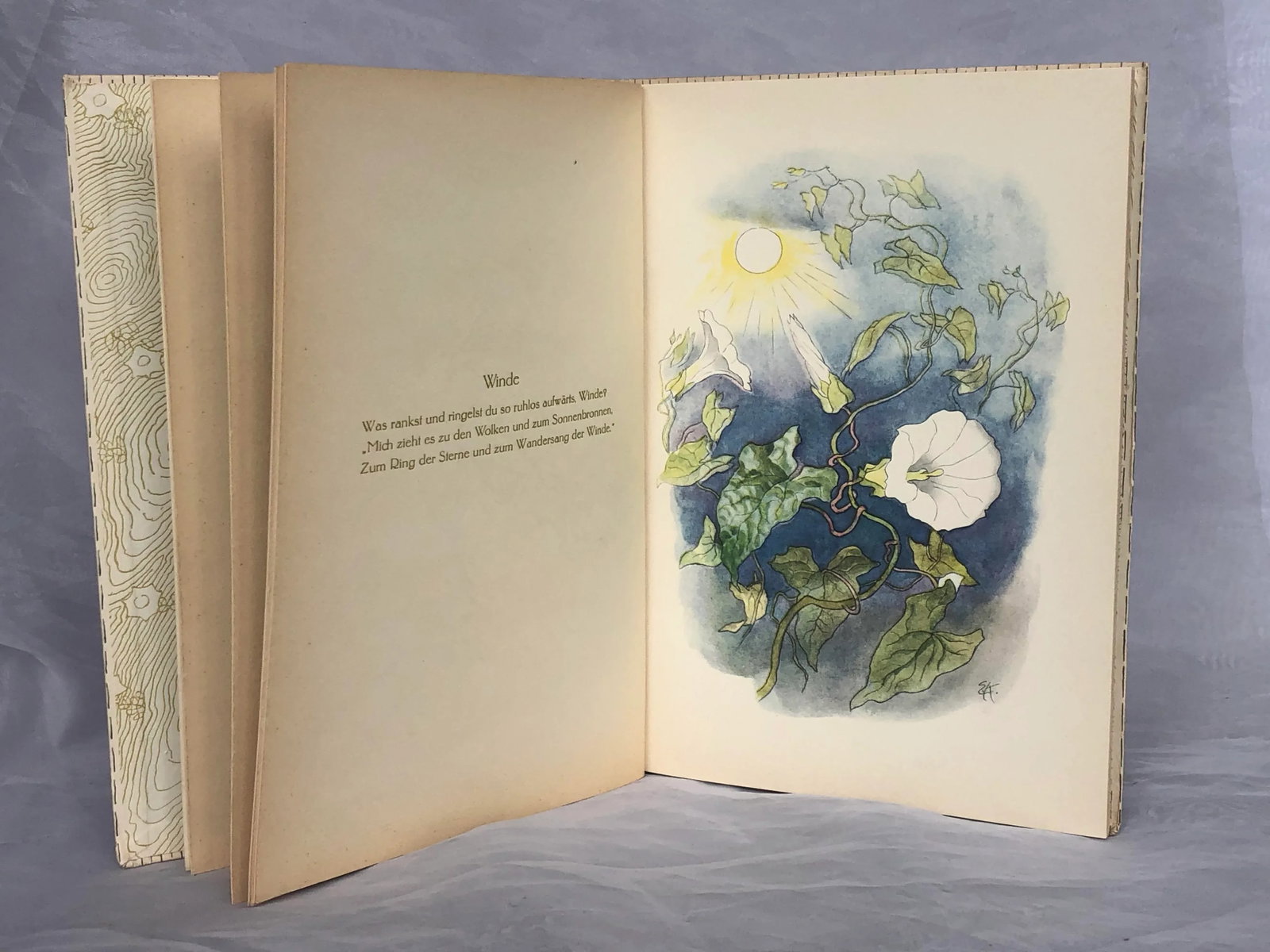 Vintage Children's Book With Flower Fairy Art - 8