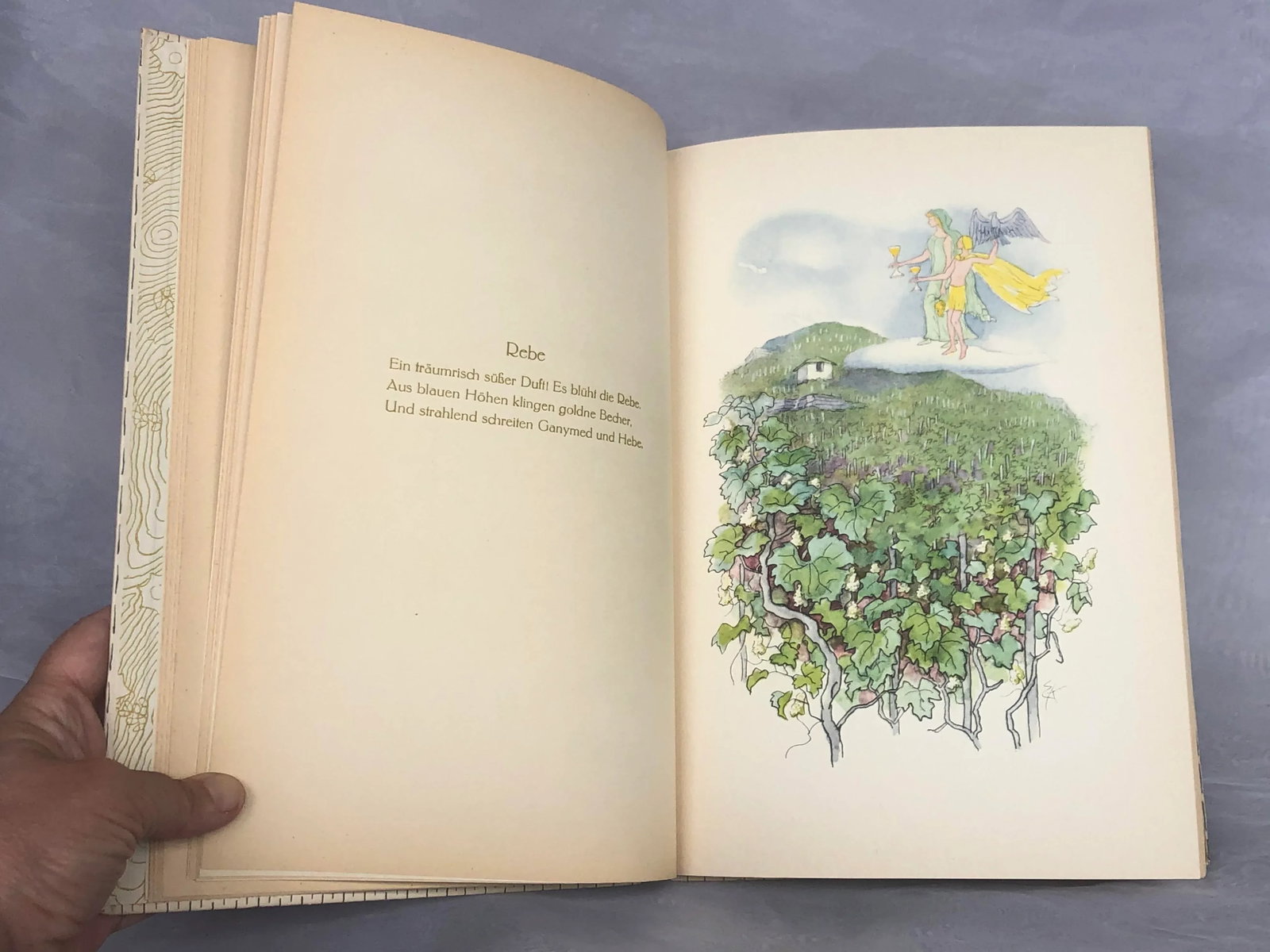 Vintage Children's Book With Flower Fairy Art - 9