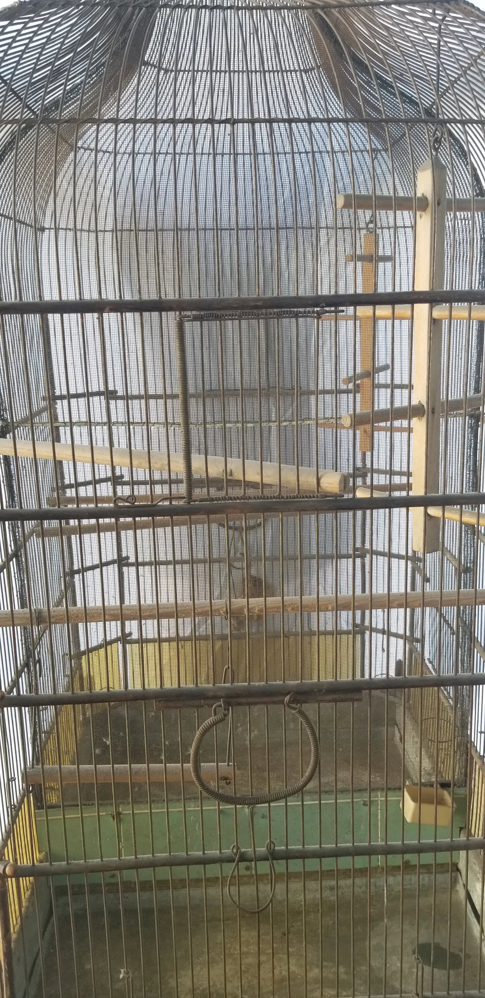 Antique English Victorian Birdcage - 11