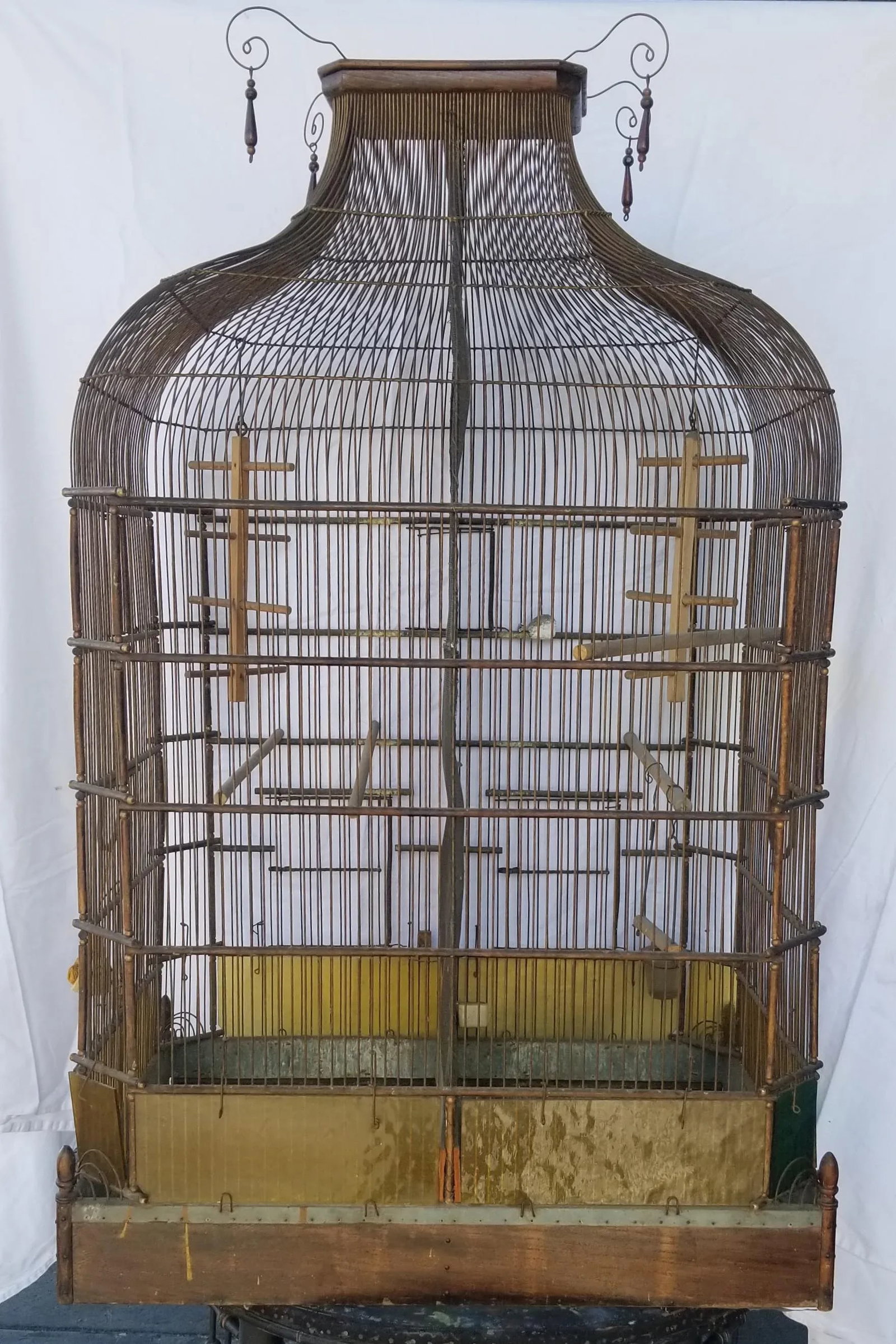 Antique English Victorian Birdcage - 12