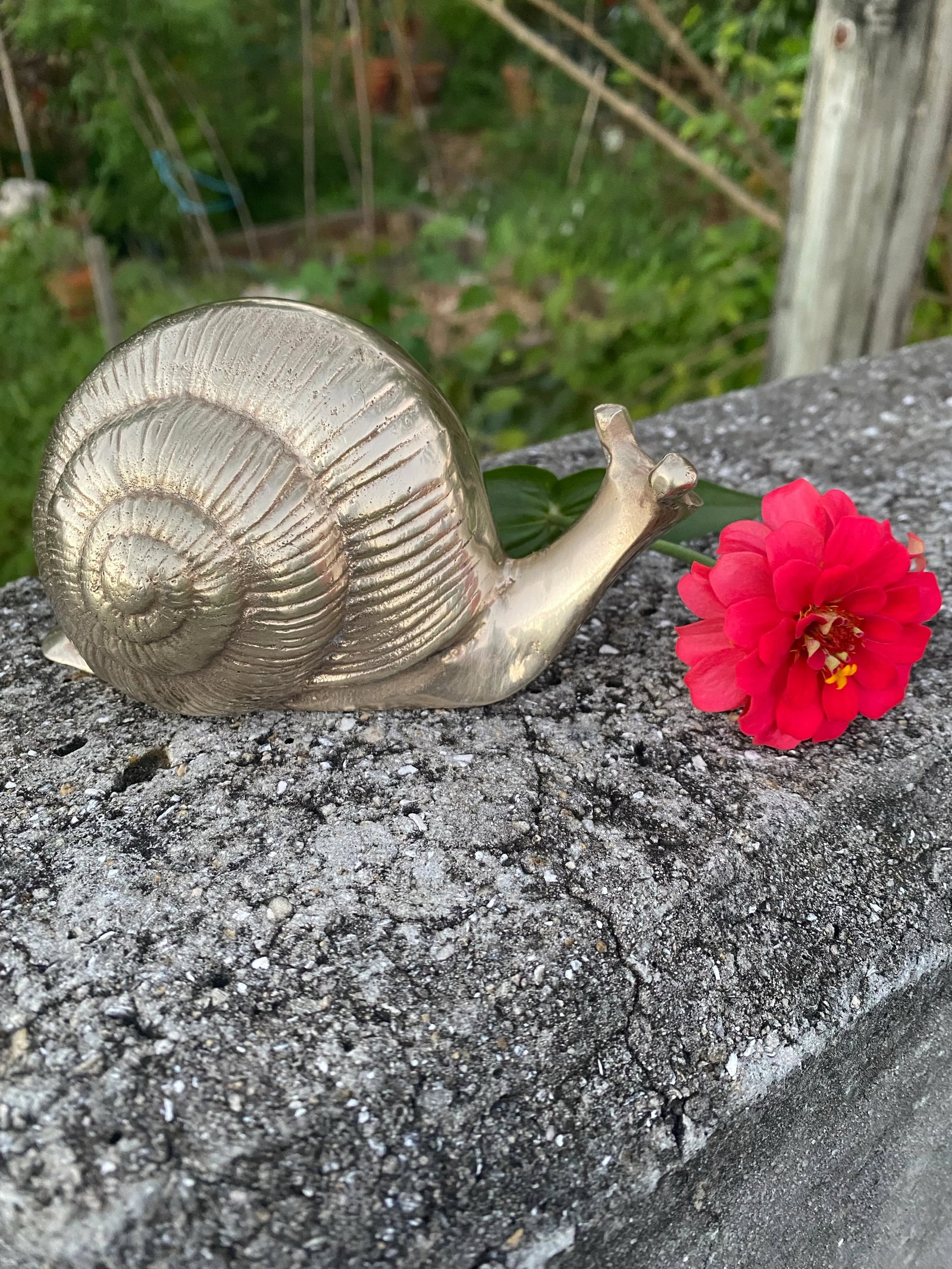 Vintage Brass Snail - 11