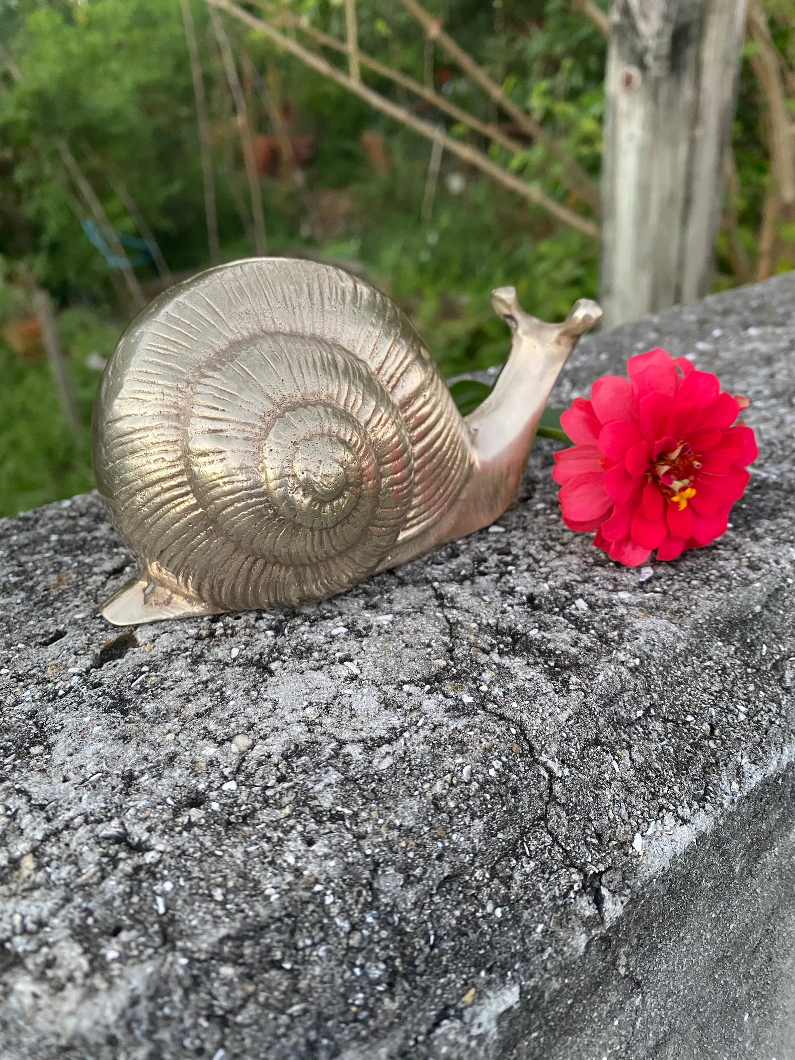 Vintage Brass Snail - 5