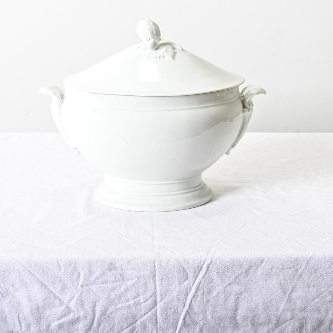 French 19th Century Ironstone Oval Tureen - 7