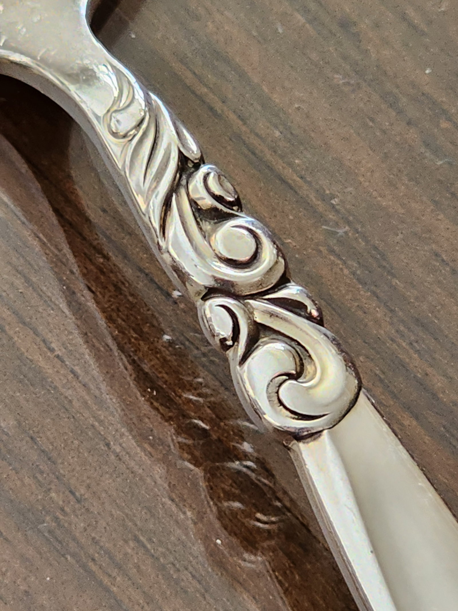 1950s Service for 12 Plus Hostess and Completer Oneida South Seas Community Silver Plated Flatware S - 10