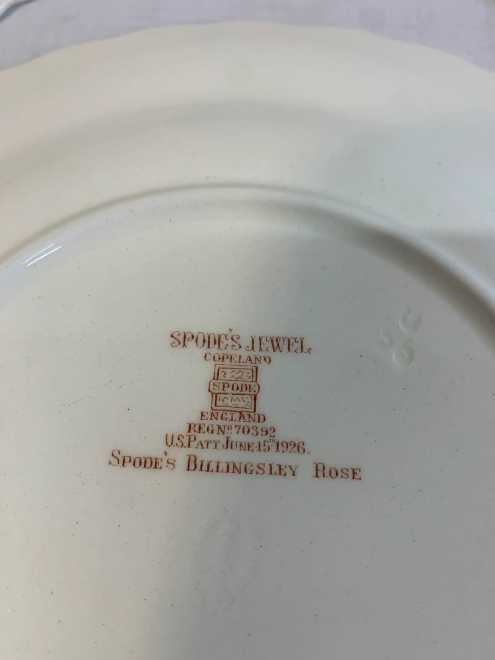 1920s Spode's Billingsley Rose Yellow Luncheon Plates- Set of 10 - 11