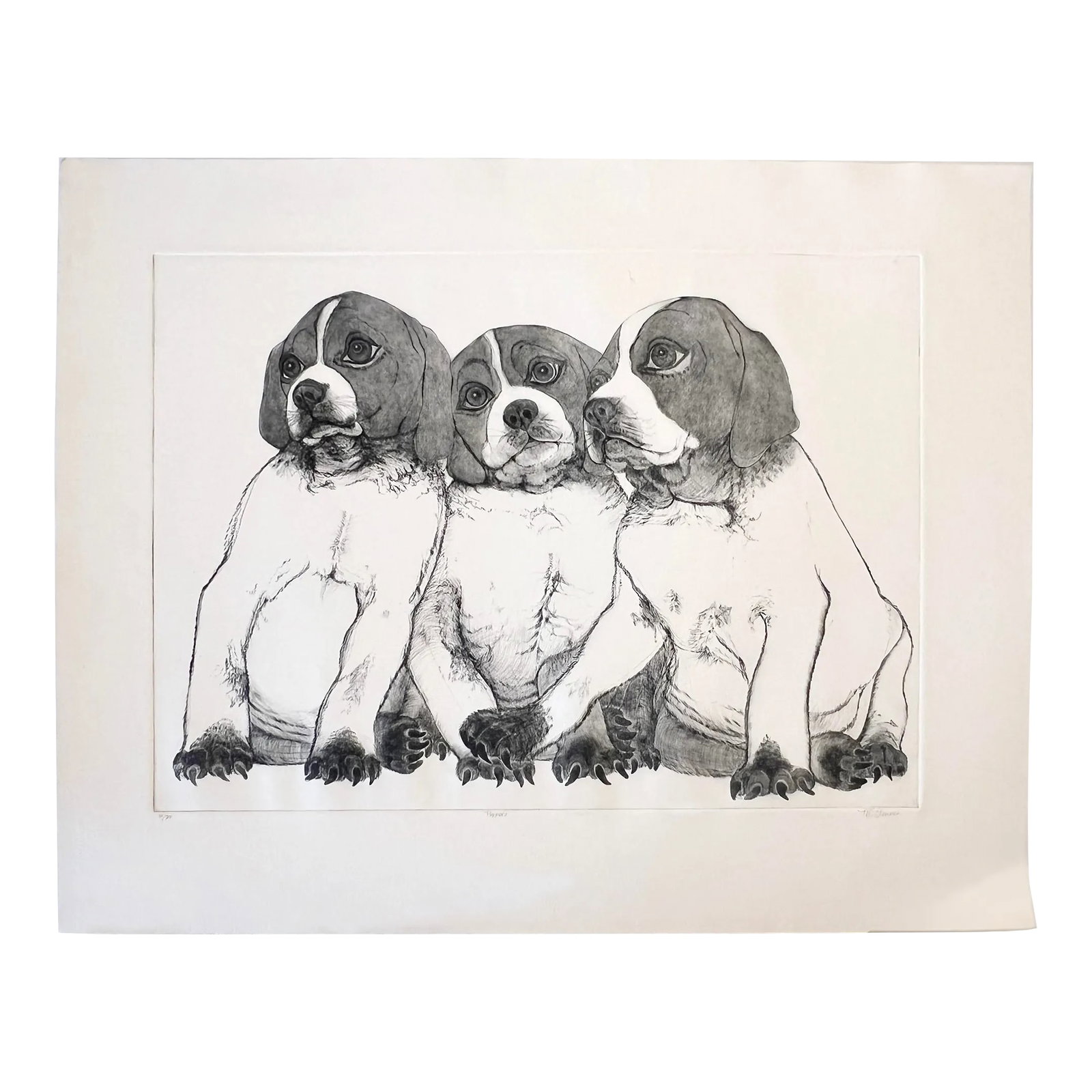 Beagle "Puppies" Etching by Christine McGinnis, Printed by David Lynch: Beagle Puppies 3 Artist: Christine McGinnis Medium: Etching on Wove paper Signed, titled, and numbered 41/300 Dimensions: 17.75" x 23.5" image on 24.75" x 30" sheet. Condition: Very Good Printed by yo