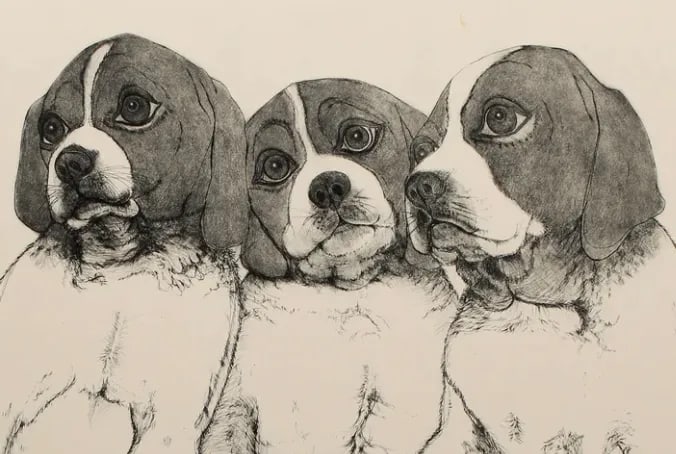 Beagle "Puppies" Etching by Christine McGinnis, Printed by David Lynch - 2