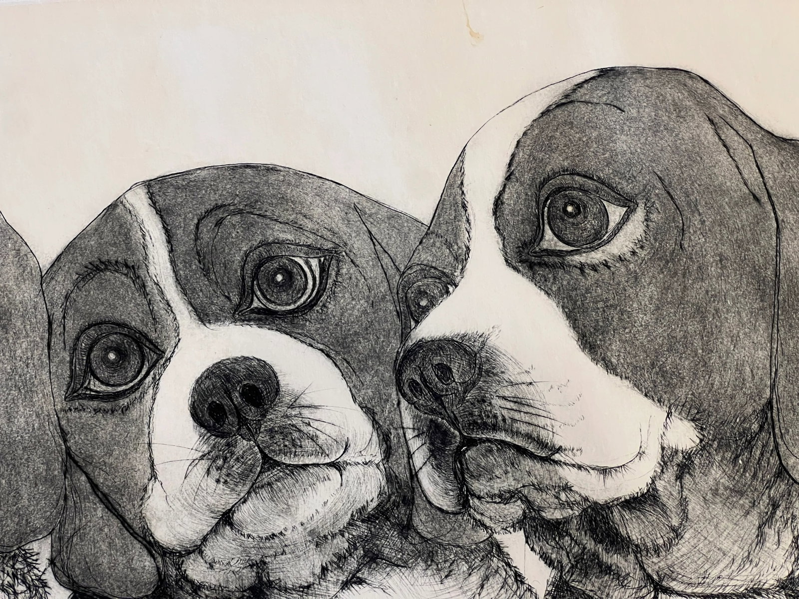 Beagle "Puppies" Etching by Christine McGinnis, Printed by David Lynch - 3