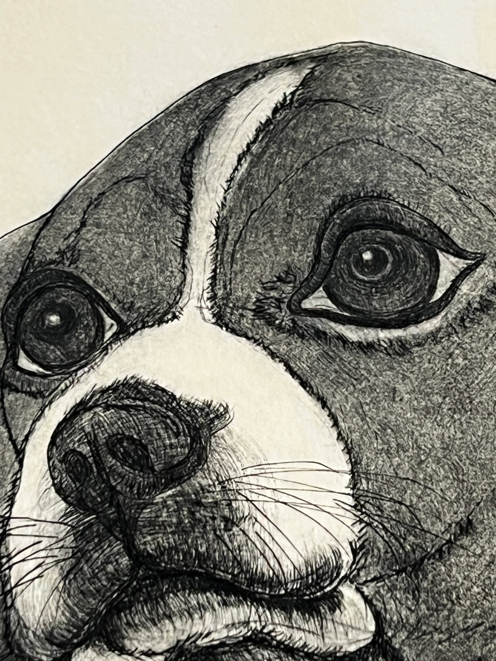 Beagle "Puppies" Etching by Christine McGinnis, Printed by David Lynch - 5