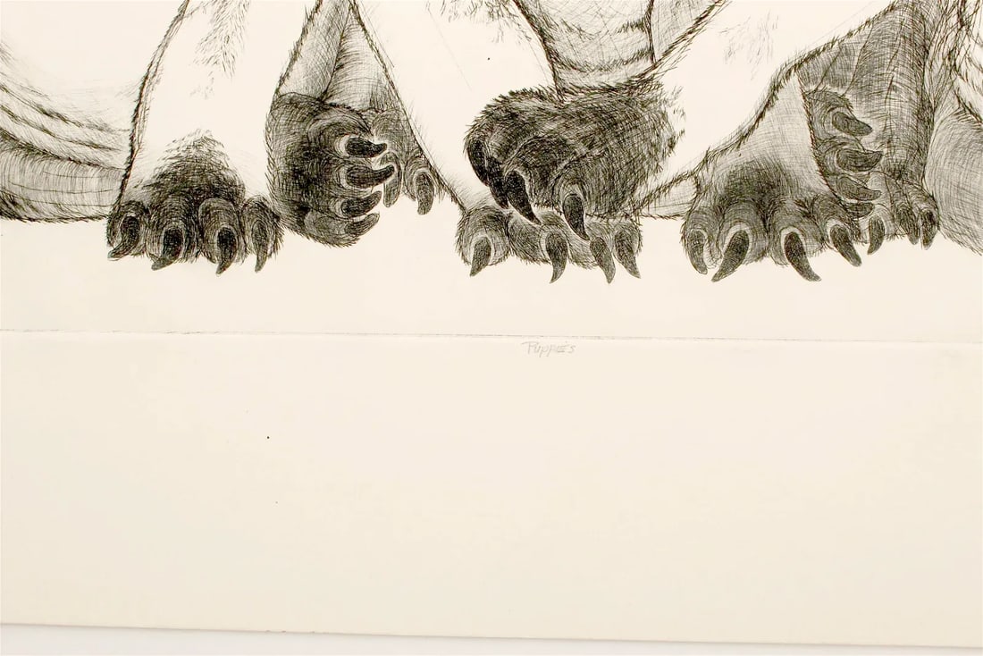 Beagle "Puppies" Etching by Christine McGinnis, Printed by David Lynch - 7