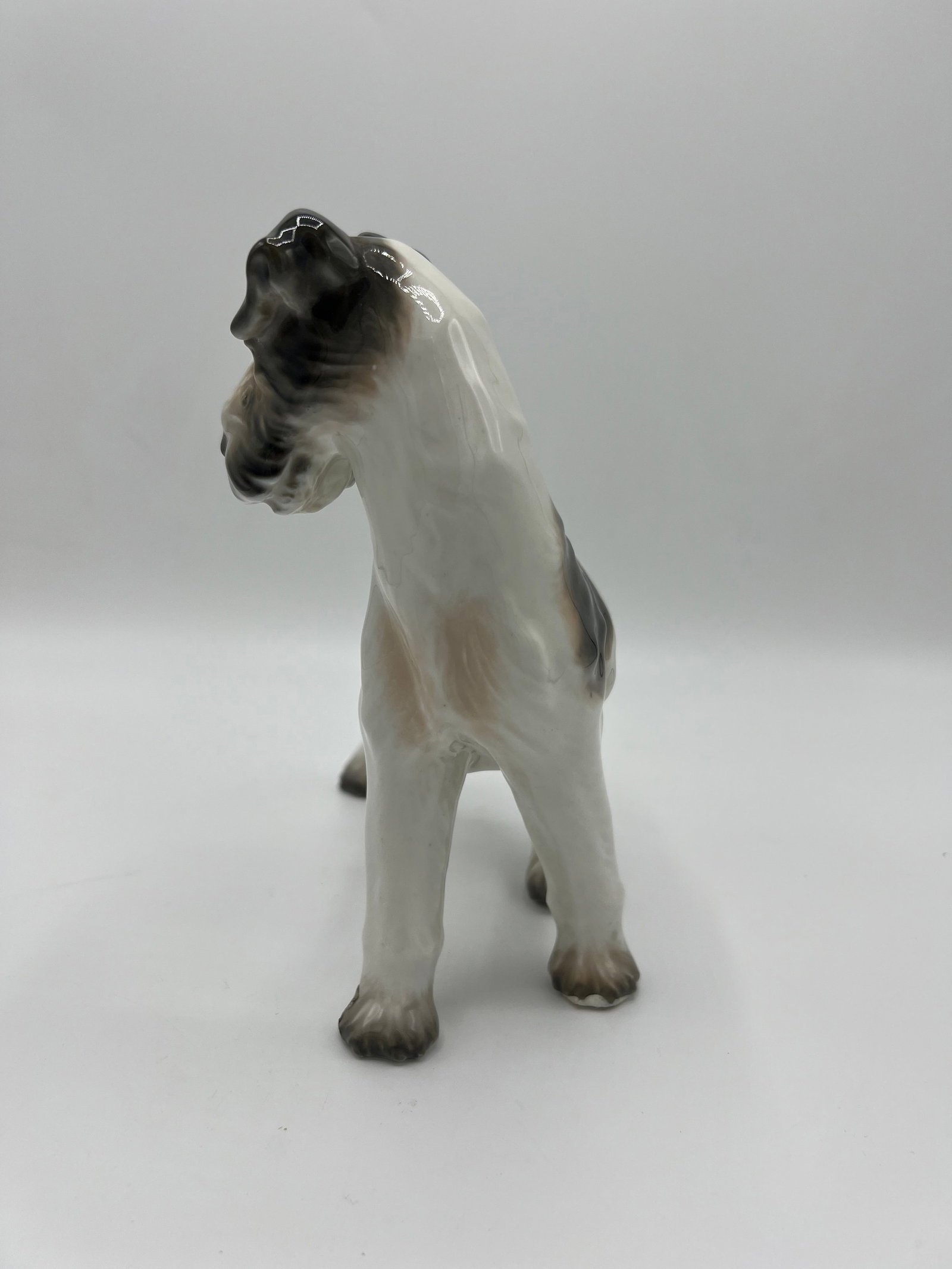1920s Dahl Jensen Wire Haired Fox Terrier - 3